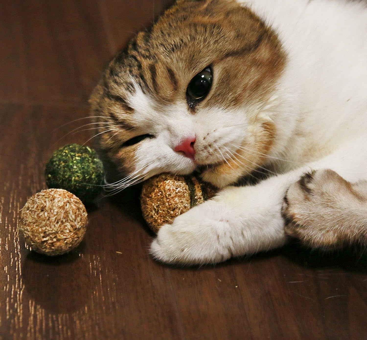 image:imageCatify Slivervine Catnip Trio By Best Pet SuppliesCatnip Trio