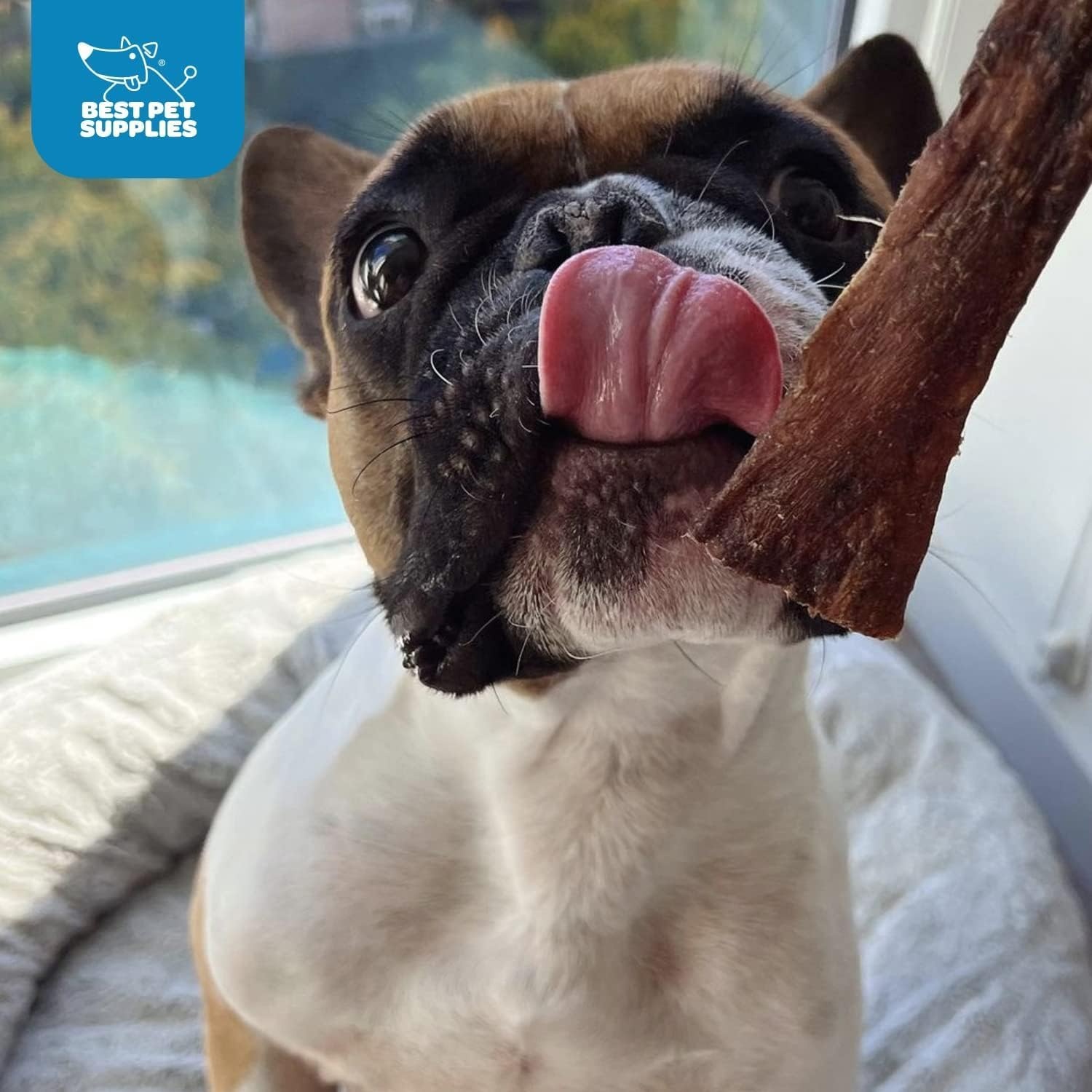 image:imageGigaBite Beef Esophagus Dog Treats Natural Gullet Sticks for Dogs High Protein Single Ingredient Dog Chews Rawhide Free Dental Dog Treats for All Dog Breeds Strips 10 inch Pack of 18Esophagus Strips 10