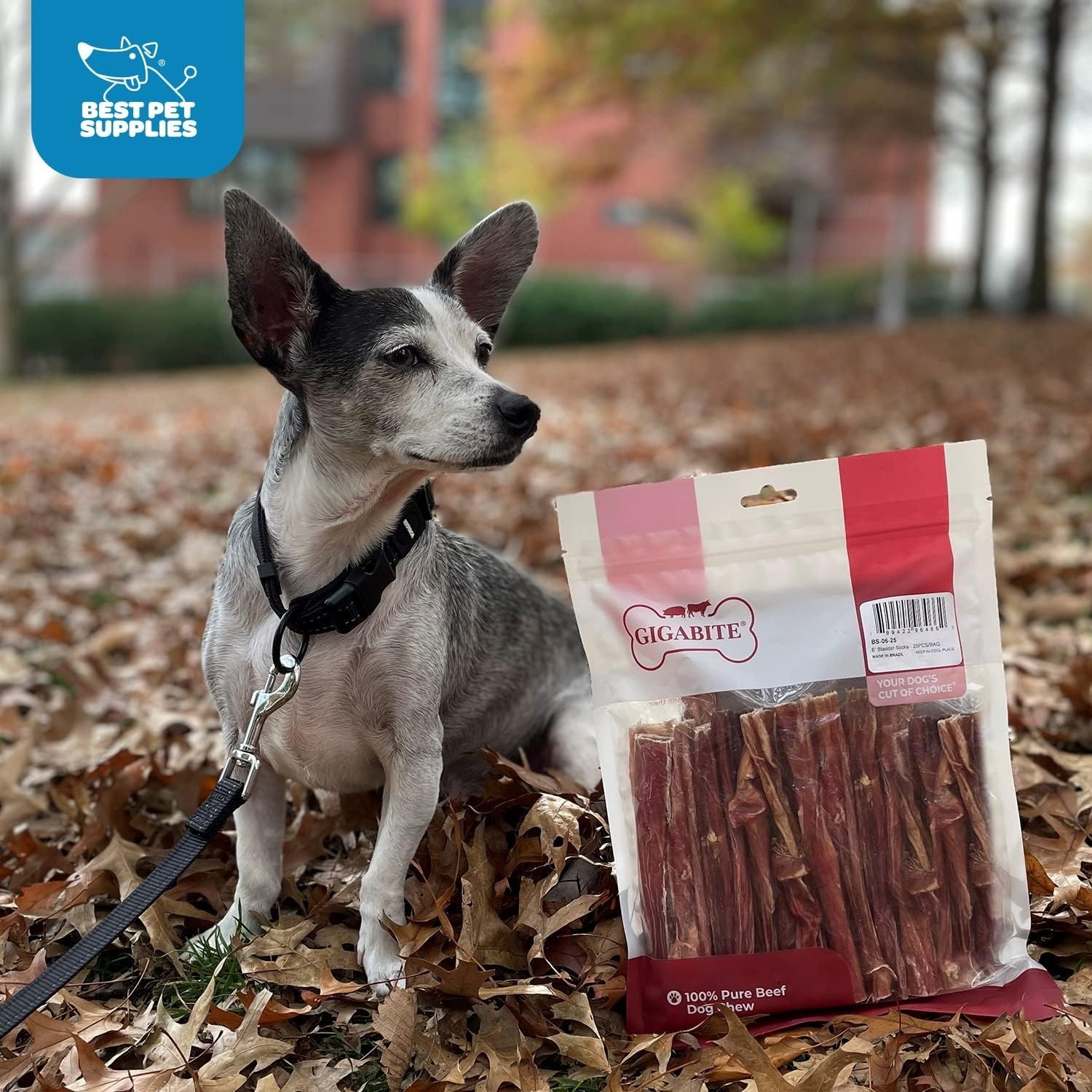 image:imageGigaBite Beef Esophagus Dog Treats Natural Gullet Sticks for Dogs High Protein Single Ingredient Dog Chews Rawhide Free Dental Dog Treats for All Dog Breeds Strips 10 inch Pack of 18Bladder Sticks 6