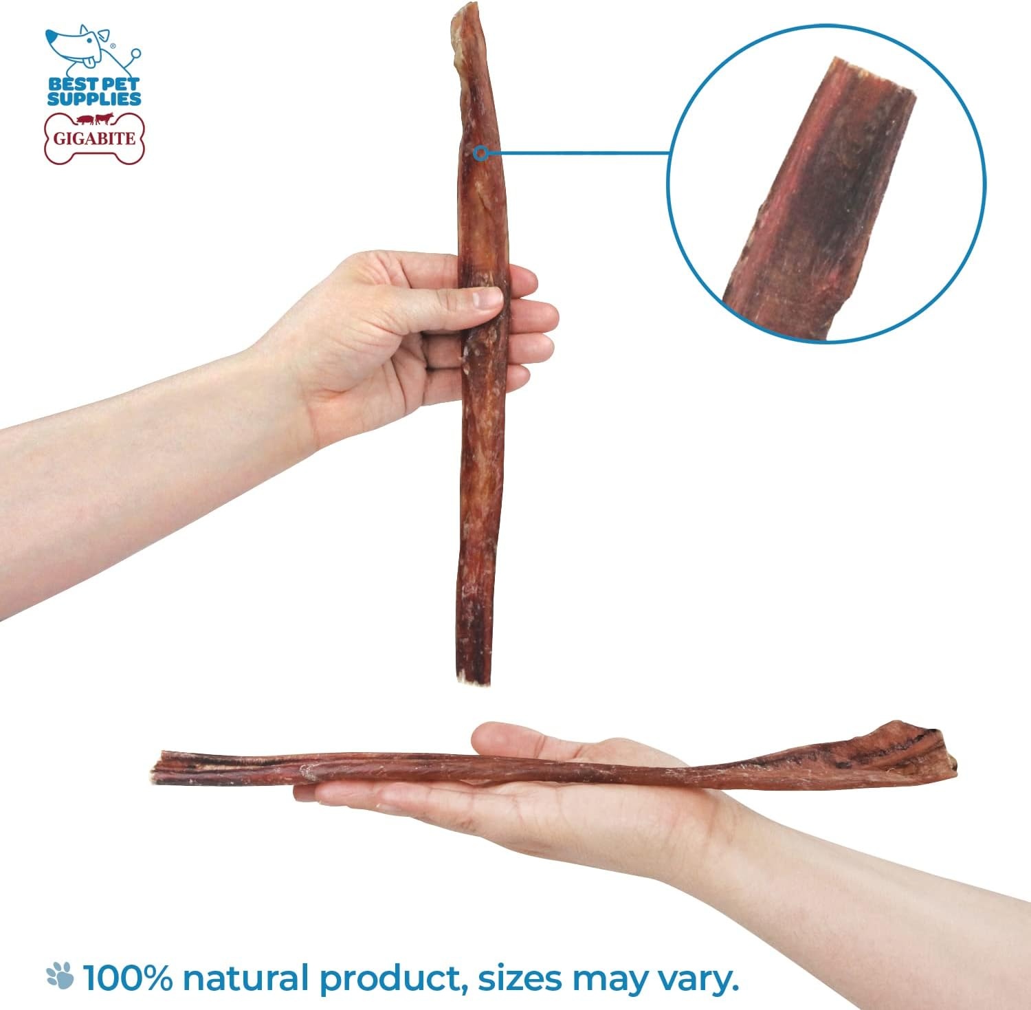 image:imageGigaBite Bully Sticks for Dogs All Natural Beef Pizzle Dog Chews Odor amp Rawhide Free Dog Treats Long Lasting High Protein Chews Digestible Dental Dog Treat Sticks Halfcut 6 Pack of 1012inch