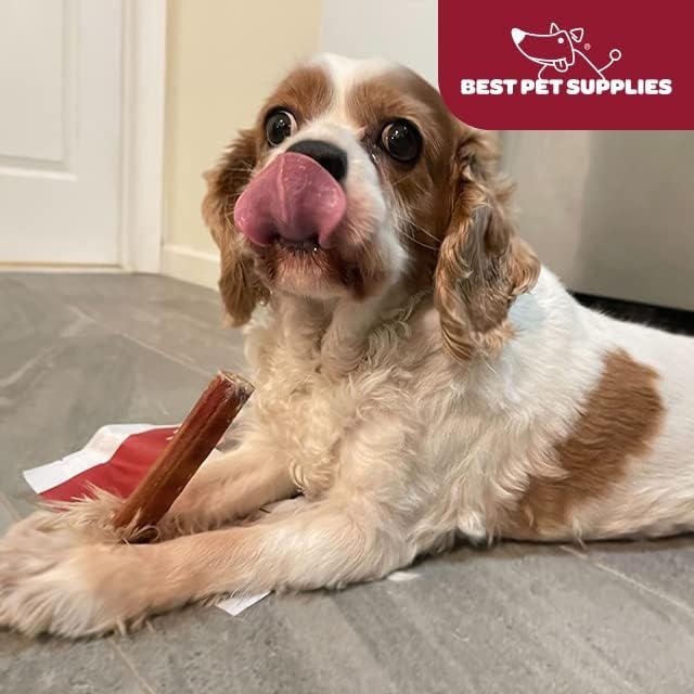 image:imageGigaBite Bully Sticks for Dogs All Natural Beef Pizzle Dog Chews Odor amp Rawhide Free Dog Treats Long Lasting High Protein Chews Digestible Dental Dog Treat Sticks Halfcut 6 Pack of 1012inch