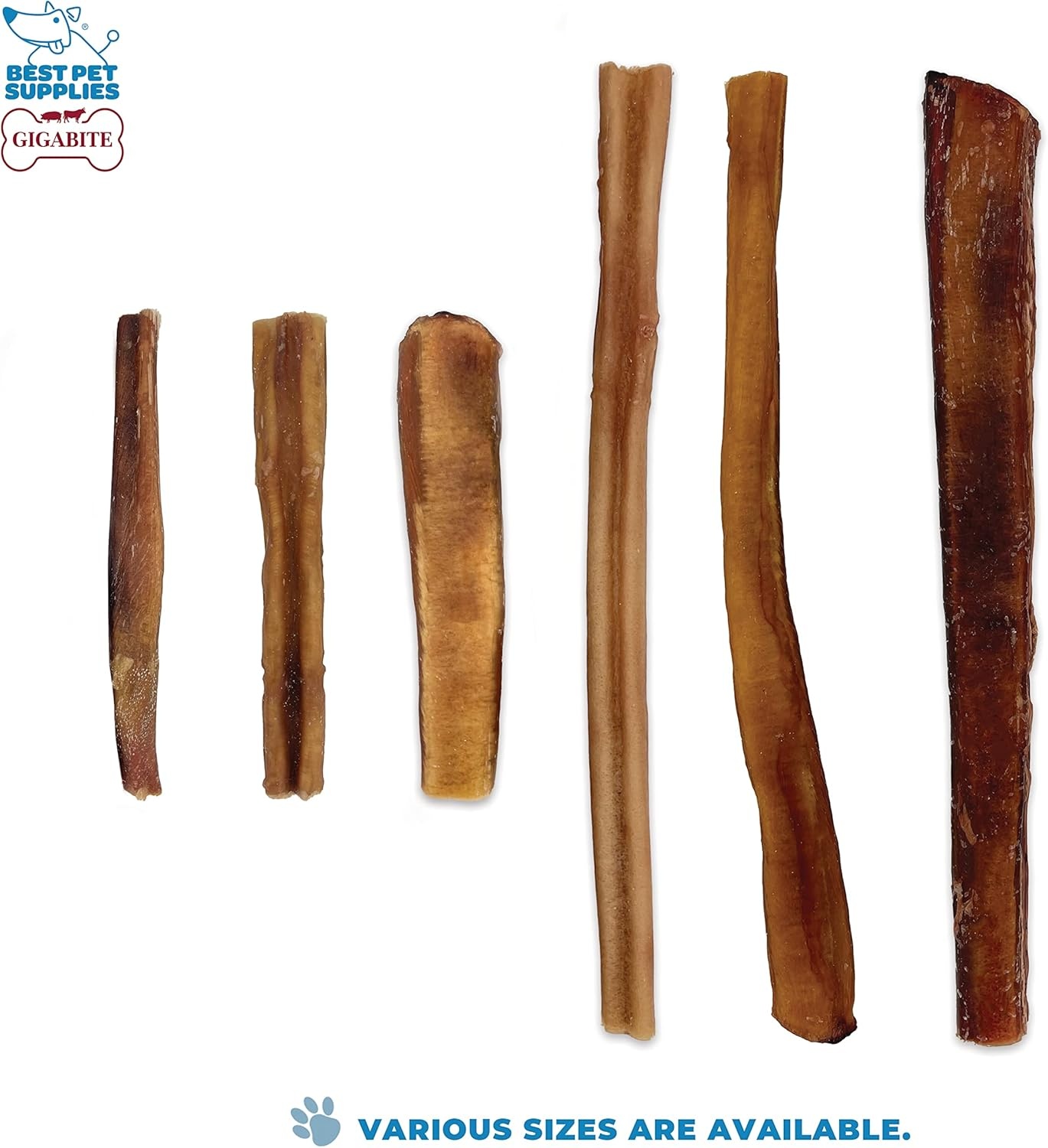 image:imageGigaBite Bully Sticks for Dogs All Natural Beef Pizzle Dog Chews Odor amp Rawhide Free Dog Treats Long Lasting High Protein Chews Digestible Dental Dog Treat Sticks Halfcut 6 Pack of 1012inch