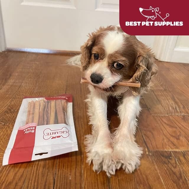 image:imageGigaBite Bully Sticks for Dogs All Natural Beef Pizzle Dog Chews Odor amp Rawhide Free Dog Treats Long Lasting High Protein Chews Digestible Dental Dog Treat Sticks Halfcut 6 Pack of 106inch