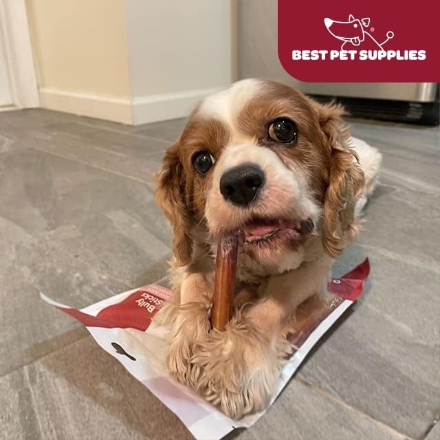 image:imageGigaBite Bully Sticks for Dogs All Natural Beef Pizzle Dog Chews Odor amp Rawhide Free Dog Treats Long Lasting High Protein Chews Digestible Dental Dog Treat Sticks Halfcut 6 Pack of 106inch