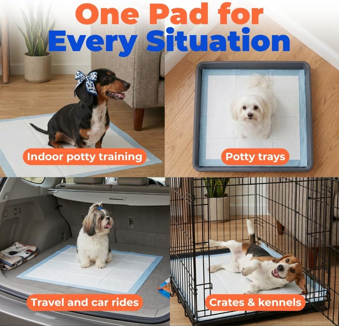 image:imageBest Pet Supplies Puppy Pads 225 x 22 Inches Disposable Dog Training Potty Super Absorbent Baby Blue Puppy Pee Pads for Dogs 300 CountBaby Blue