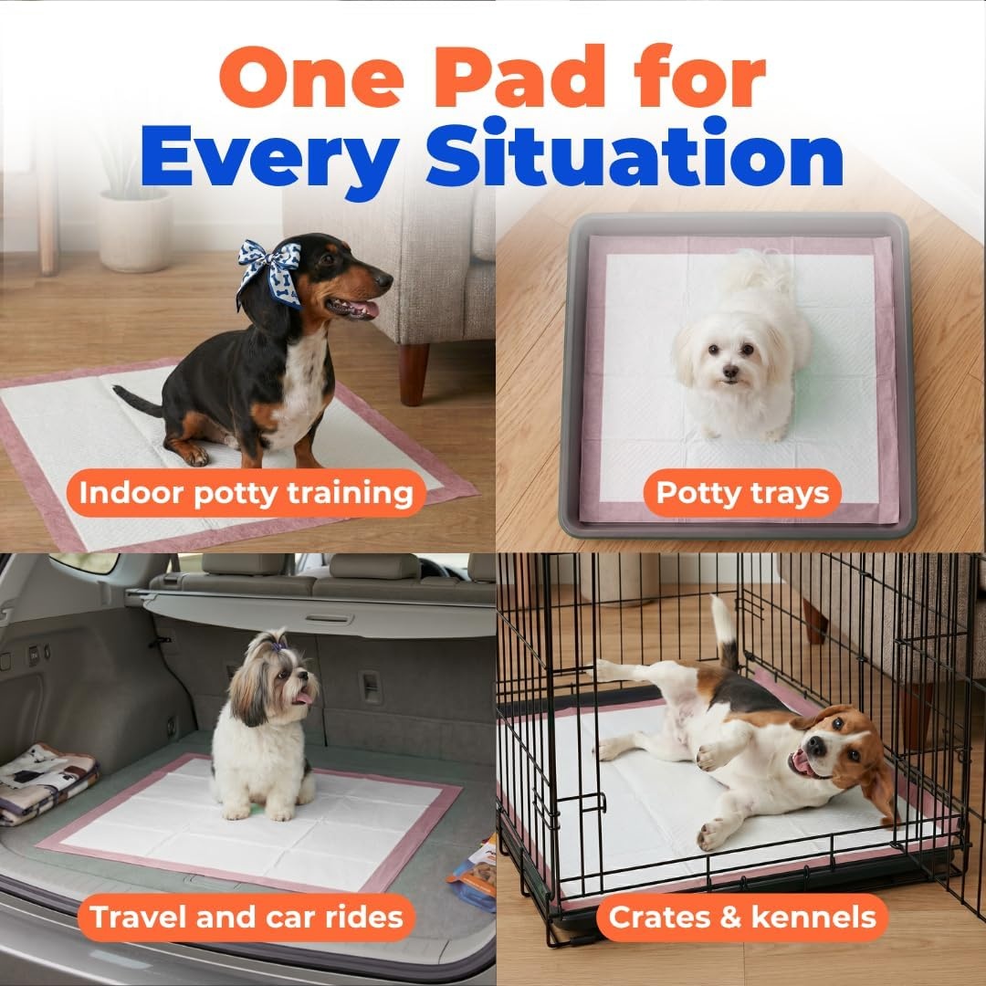 image:imageBest Pet Supplies Puppy Pads 225 x 22 Inches Disposable Dog Training Potty Super Absorbent Baby Blue Puppy Pee Pads for Dogs 300 CountBaby Pink
