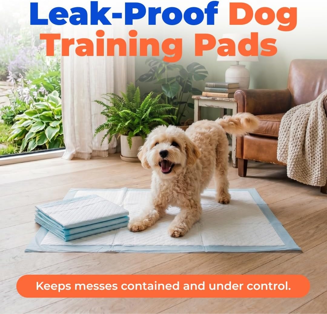 image:imageBest Pet Supplies Puppy Pads 225 x 22 Inches Disposable Dog Training Potty Super Absorbent Baby Blue Puppy Pee Pads for Dogs 300 CountBlue
