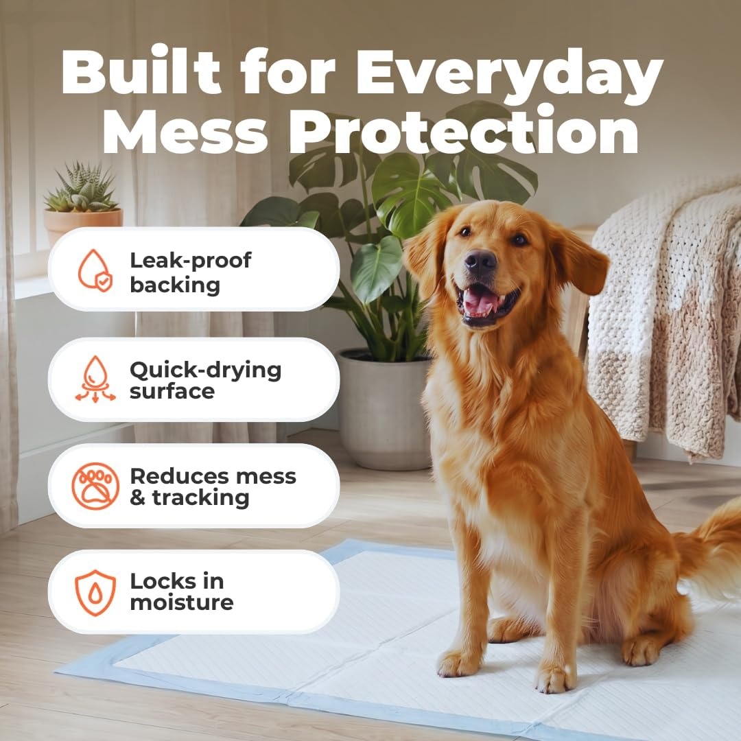 image:imageBest Pet Supplies Puppy Pads 225 x 22 Inches Disposable Dog Training Potty Super Absorbent Baby Blue Puppy Pee Pads for Dogs 300 CountBlue