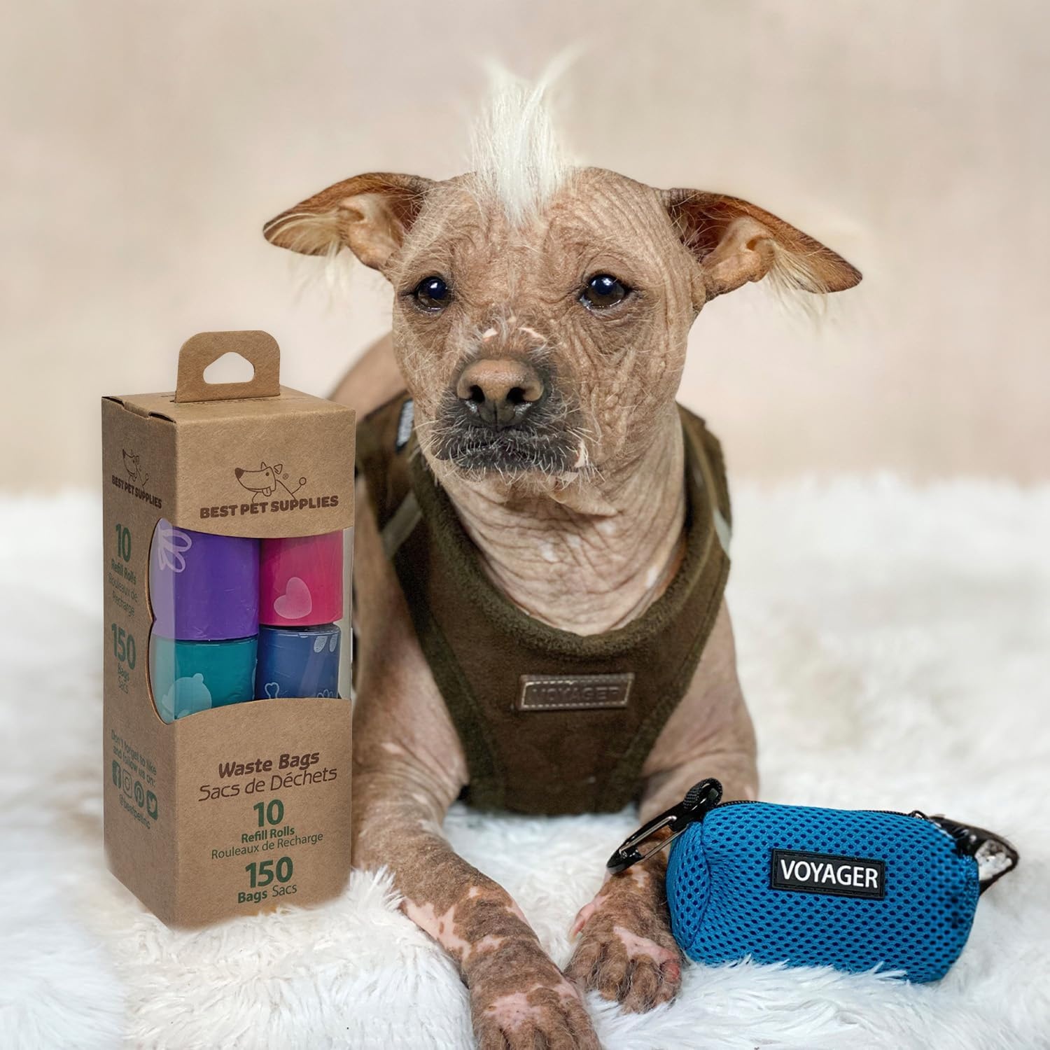 image:imageBest Pet Supplies Dog Poop Bags for Waste Refuse Cleanup Doggy Roll Replacements for Outdoor Puppy Walking and Travel Leak Proof and Tear Resistant Thick Plastic Blue Unscented 240 BagsAssorted Colors 2