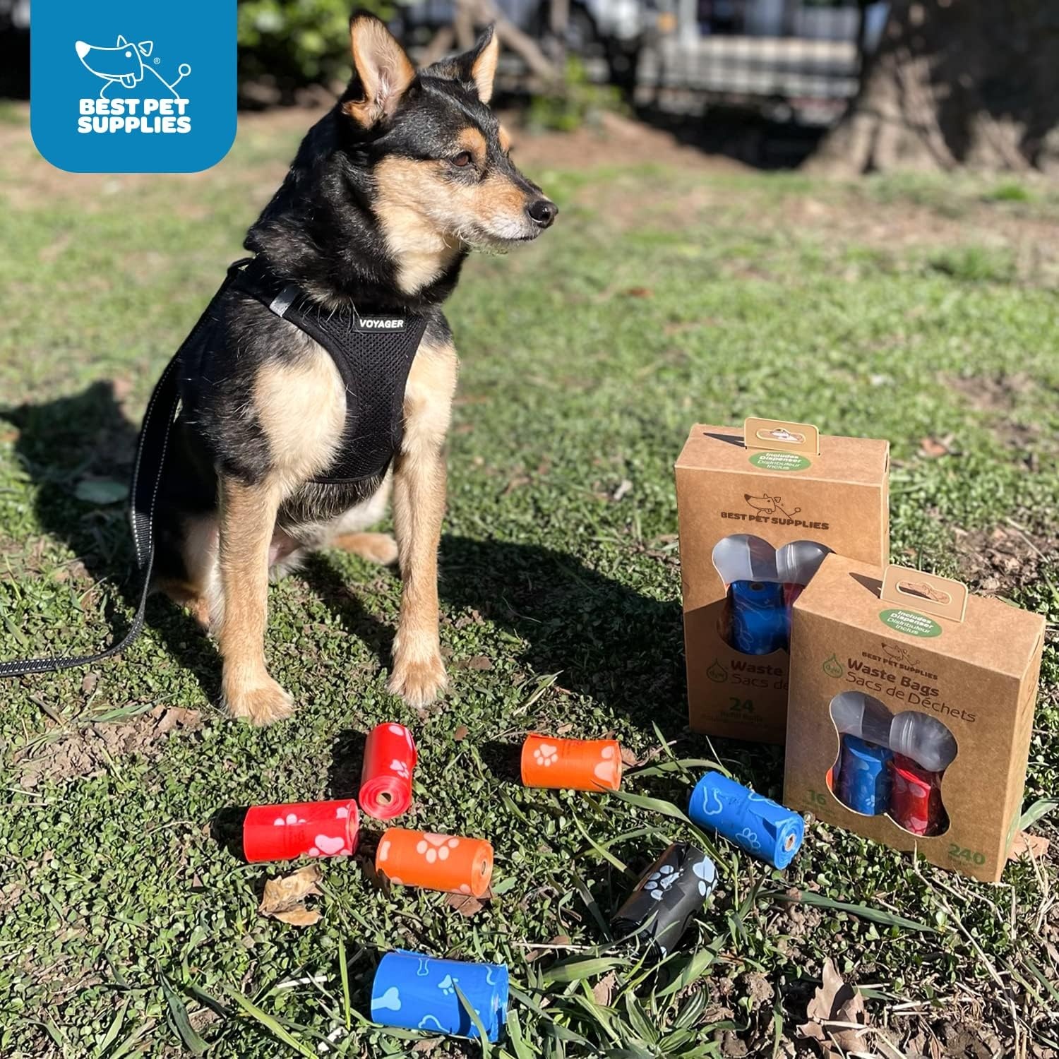 image:imageBest Pet Supplies Dog Poop Bags for Waste Refuse Cleanup Doggy Roll Replacements for Outdoor Puppy Walking and Travel Leak Proof and Tear Resistant Thick Plastic Blue Unscented 240 BagsGreen Unscented