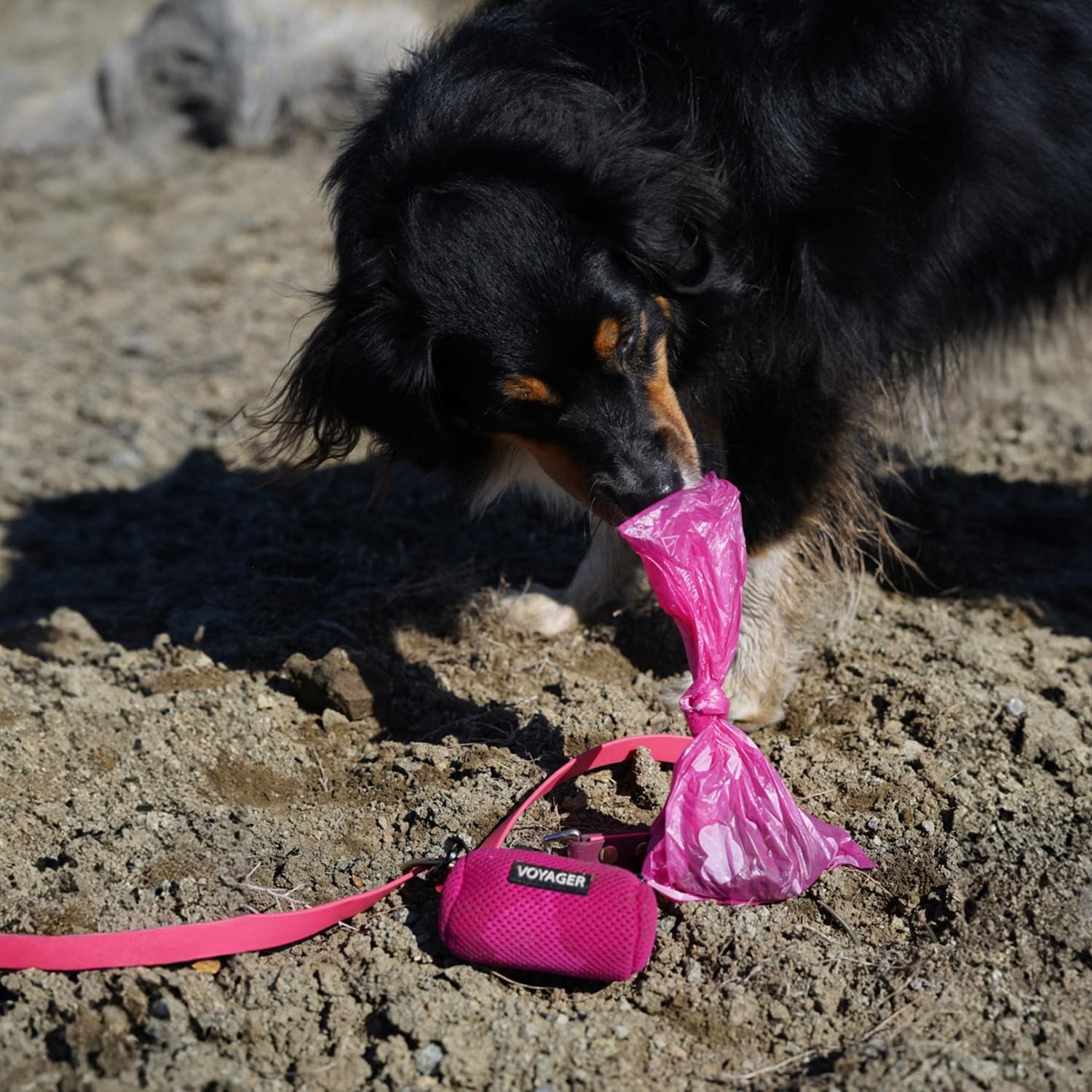 image:imageBest Pet Supplies Dog Poop Bags for Waste Refuse Cleanup Doggy Roll Replacements for Outdoor Puppy Walking and Travel Leak Proof and Tear Resistant Thick Plastic Blue Unscented 240 BagsPink Heart