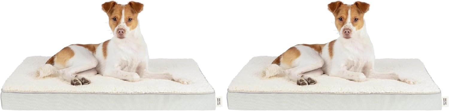 image:imageBest Pet Supplies Orthopedic Dog Bed with Memory Foam Washable Dog Crate Mat for Small Medium amp Large Dogs Thick Mattress for Crates Kennels or Floor Waterproof Pet Bed Gray 24 x 16 x 3Beige