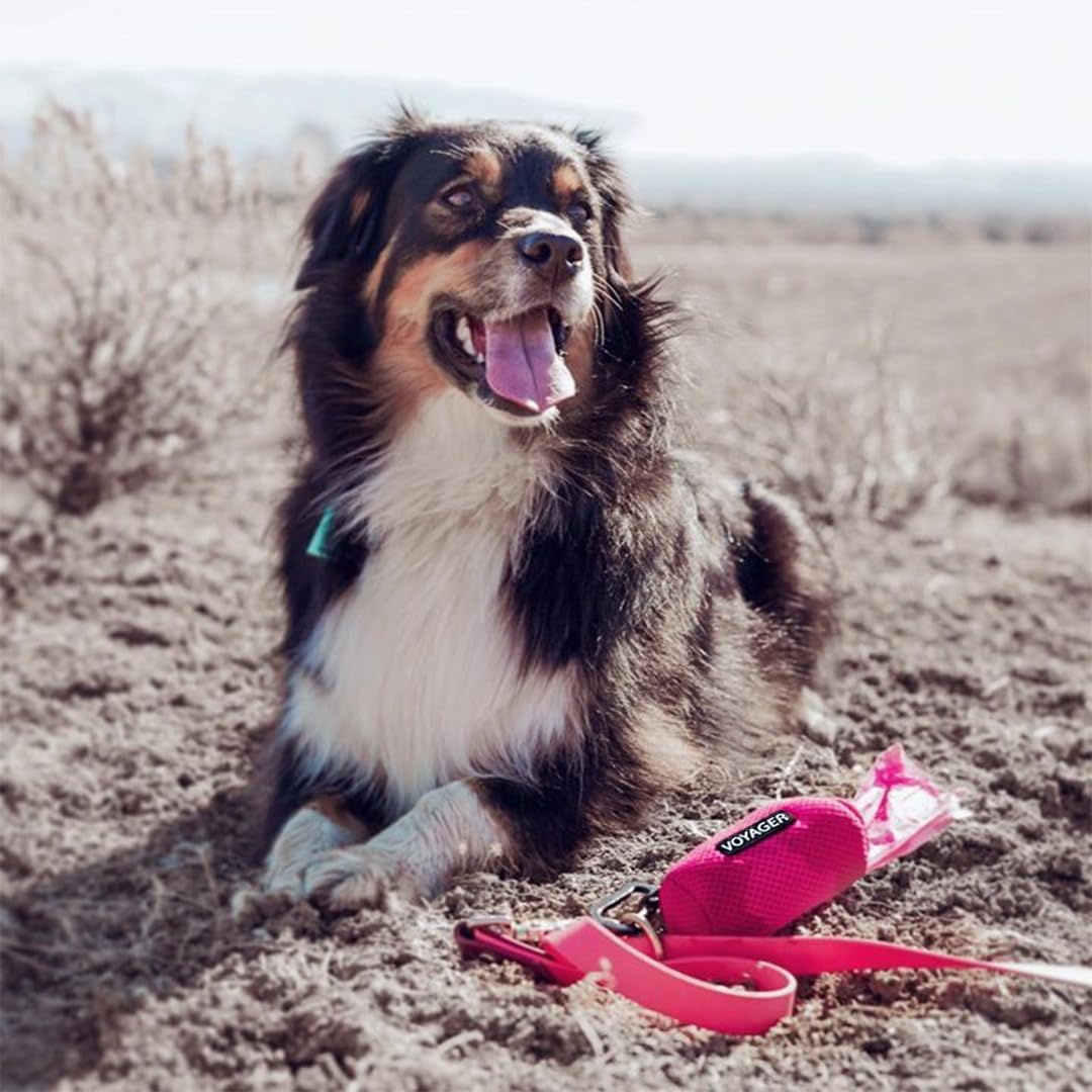 image:imageBest Pet Supplies 2Pack Dog Poop Bag Holder Leash Attachment Color Reusable Mesh Dispenser Pouch for Travel Walking Park and Outdoor Use Soft and Durable with ClipOn Mesh Baby BlueMesh Fuchsia