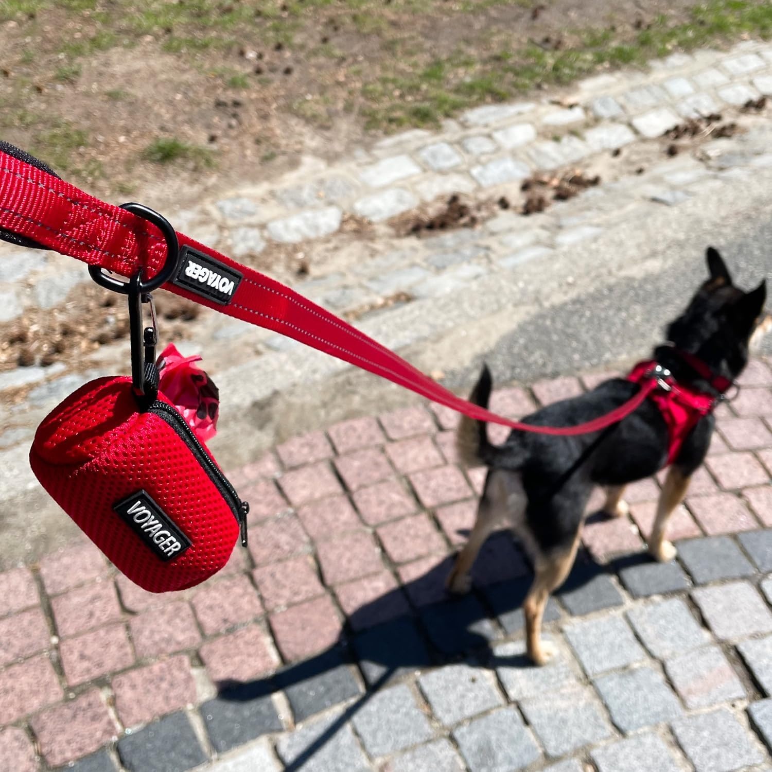 image:imageBest Pet Supplies 2Pack Dog Poop Bag Holder Leash Attachment Color Reusable Mesh Dispenser Pouch for Travel Walking Park and Outdoor Use Soft and Durable with ClipOn Mesh Baby BlueMesh Red