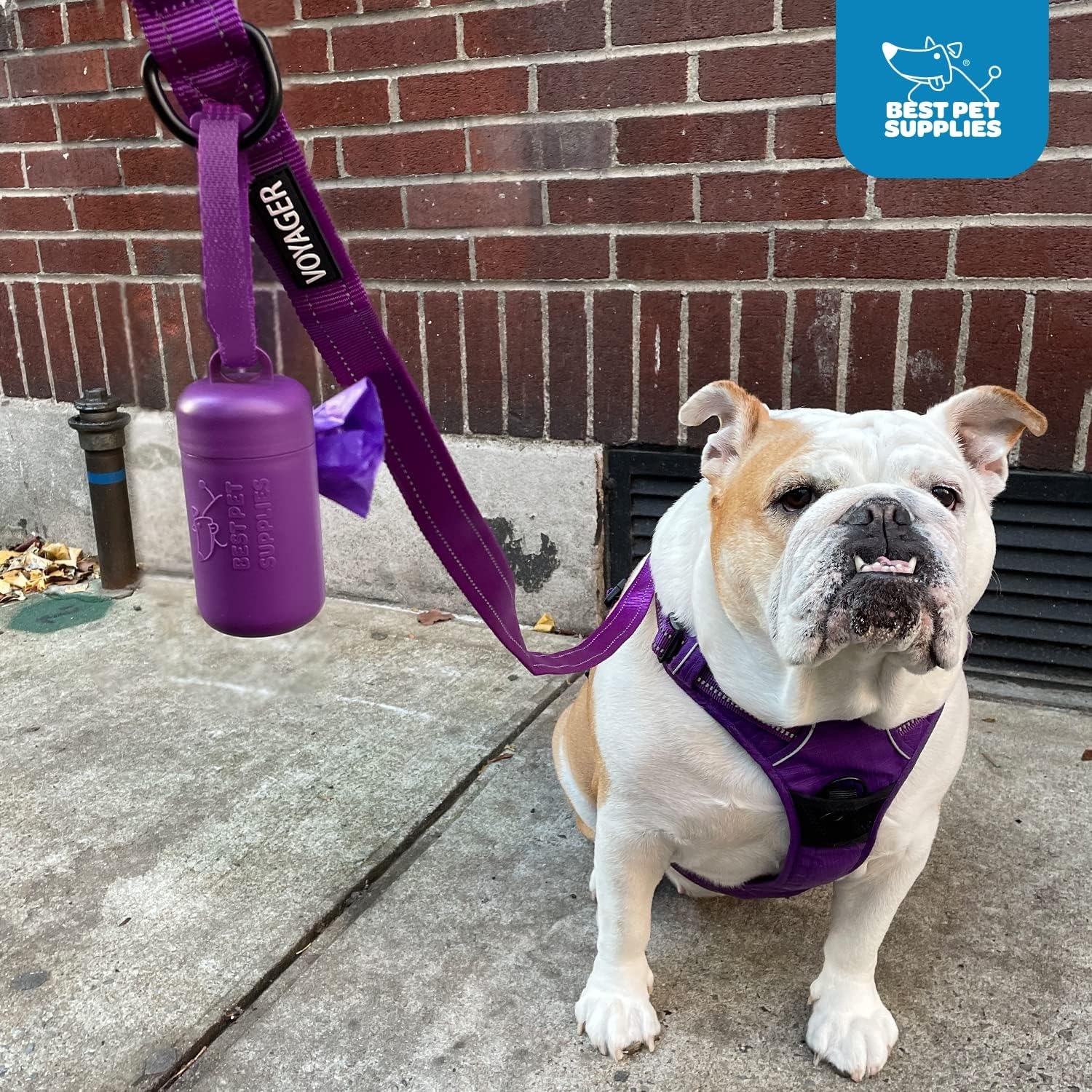 image:imageBest Pet Supplies 2Pack Dog Poop Bag Holder Leash Attachment Color Reusable Mesh Dispenser Pouch for Travel Walking Park and Outdoor Use Soft and Durable with ClipOn Mesh Baby BluePlastic Lime Green