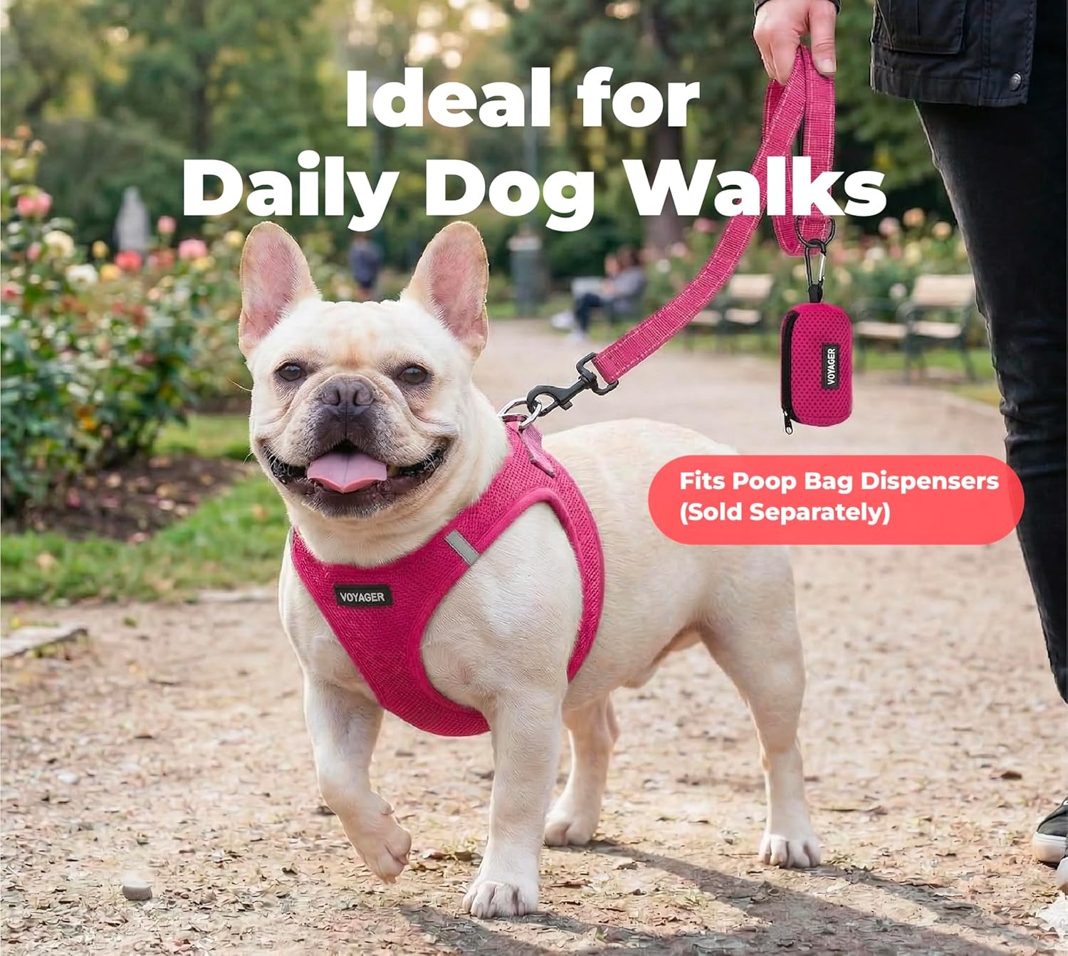 image:imageBest Pet Supplies Voyager Reflective Dog Leash or Collar with Neoprene Handle for Small Medium and Large Breed Puppies Cute and Heavy Duty for Walking Running and Training Blue Leash SLeash Fuchsia