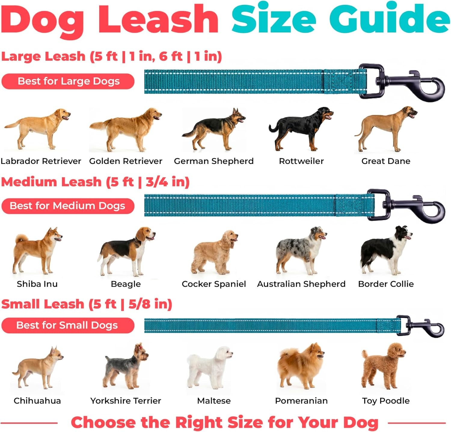 image:imageBest Pet Supplies Voyager Reflective Dog Leash or Collar with Neoprene Handle for Small Medium and Large Breed Puppies Cute and Heavy Duty for Walking Running and Training Blue Leash SLeash Turquoise