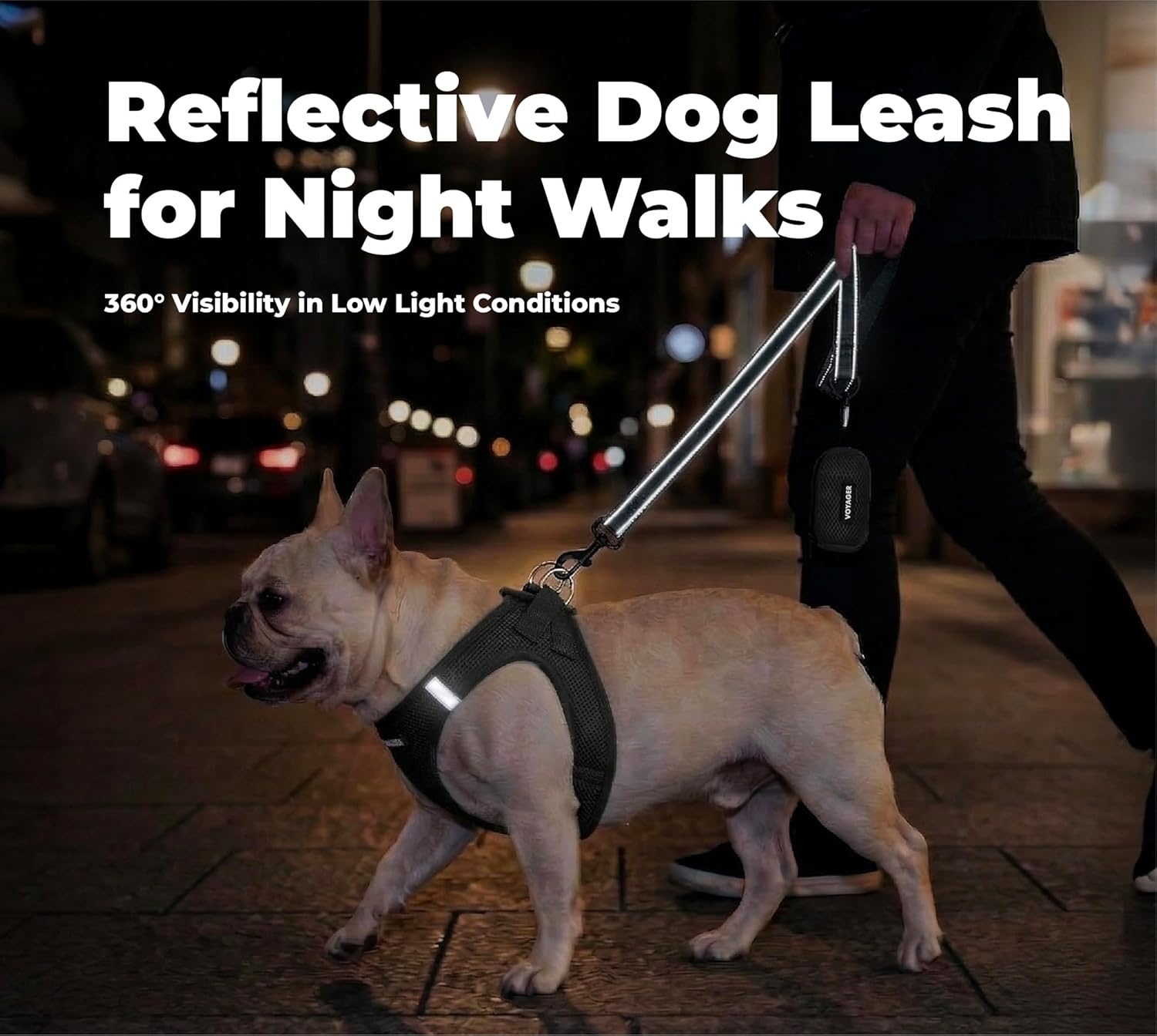 image:imageBest Pet Supplies Voyager Reflective Dog Leash or Collar with Neoprene Handle for Small Medium and Large Breed Puppies Cute and Heavy Duty for Walking Running and Training Blue Leash SLeash Black