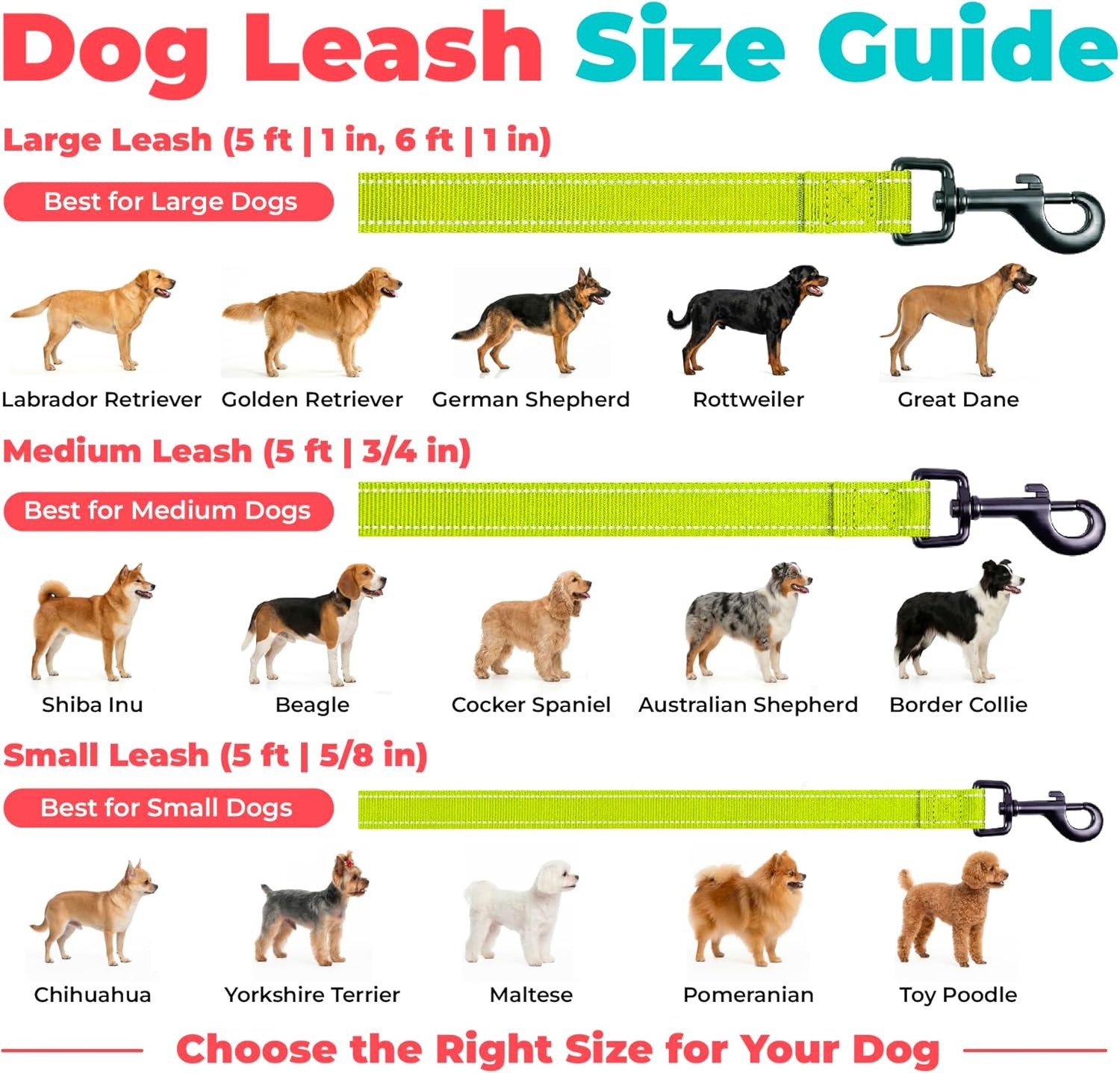 image:imageBest Pet Supplies Voyager Reflective Dog Leash or Collar with Neoprene Handle for Small Medium and Large Breed Puppies Cute and Heavy Duty for Walking Running and Training Blue Leash SLeash Lime Green
