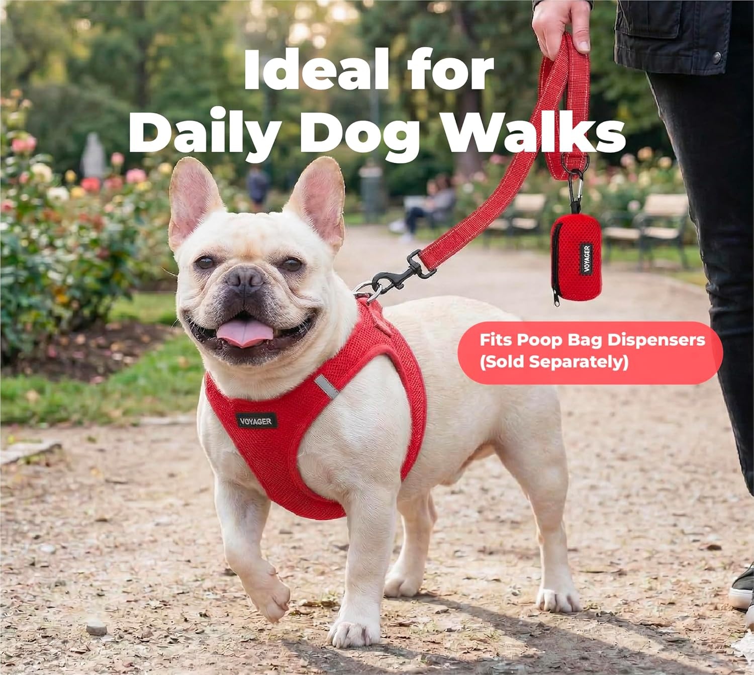 image:imageBest Pet Supplies Voyager Reflective Dog Leash or Collar with Neoprene Handle for Small Medium and Large Breed Puppies Cute and Heavy Duty for Walking Running and Training Blue Leash SLeash Red