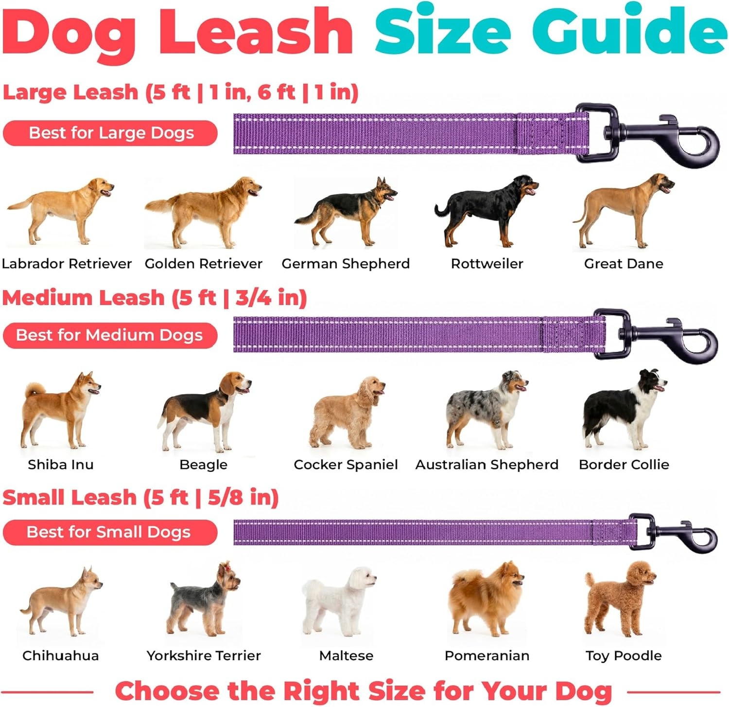 image:imageBest Pet Supplies Voyager Reflective Dog Leash or Collar with Neoprene Handle for Small Medium and Large Breed Puppies Cute and Heavy Duty for Walking Running and Training Blue Leash SLeash Purple