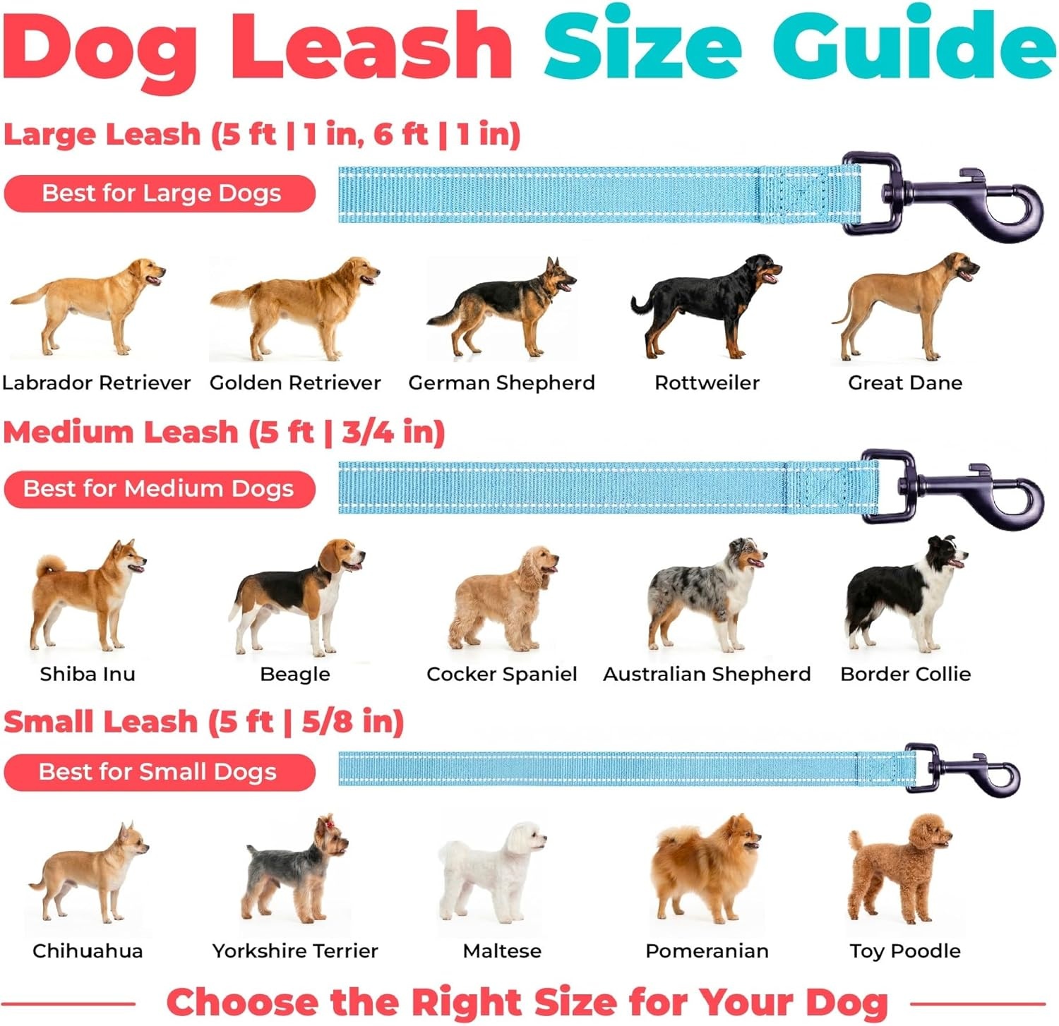 image:imageBest Pet Supplies Voyager Reflective Dog Leash or Collar with Neoprene Handle for Small Medium and Large Breed Puppies Cute and Heavy Duty for Walking Running and Training Blue Leash SLeash Baby Blue