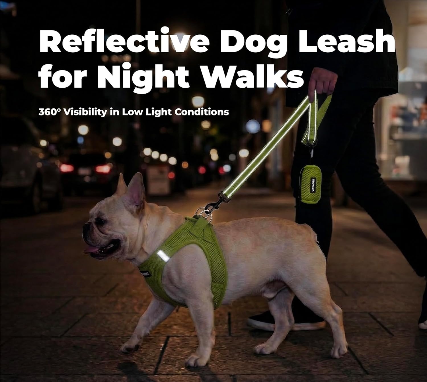 image:imageBest Pet Supplies Voyager Reflective Dog Leash or Collar with Neoprene Handle for Small Medium and Large Breed Puppies Cute and Heavy Duty for Walking Running and Training Blue Leash SLeash Lime Green
