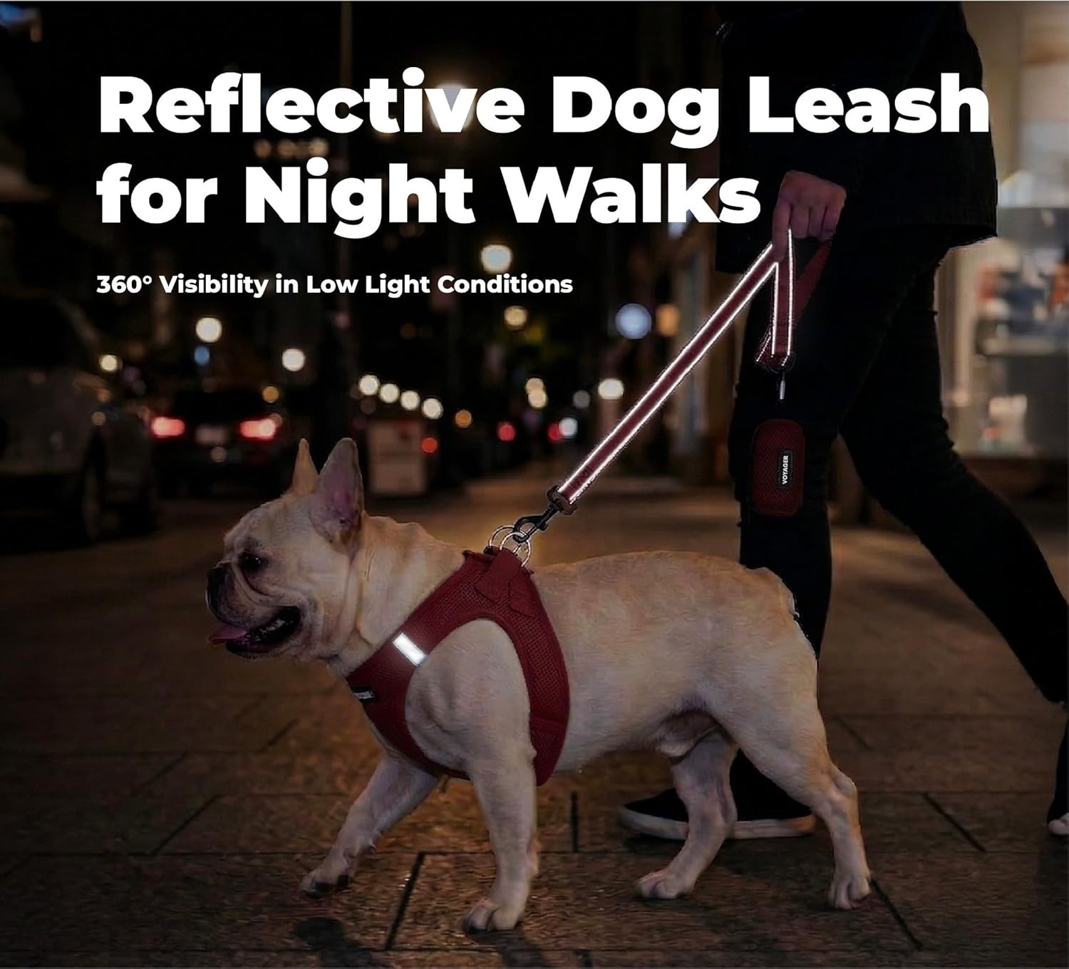 image:imageBest Pet Supplies Voyager Reflective Dog Leash or Collar with Neoprene Handle for Small Medium and Large Breed Puppies Cute and Heavy Duty for Walking Running and Training Blue Leash SLeash Red