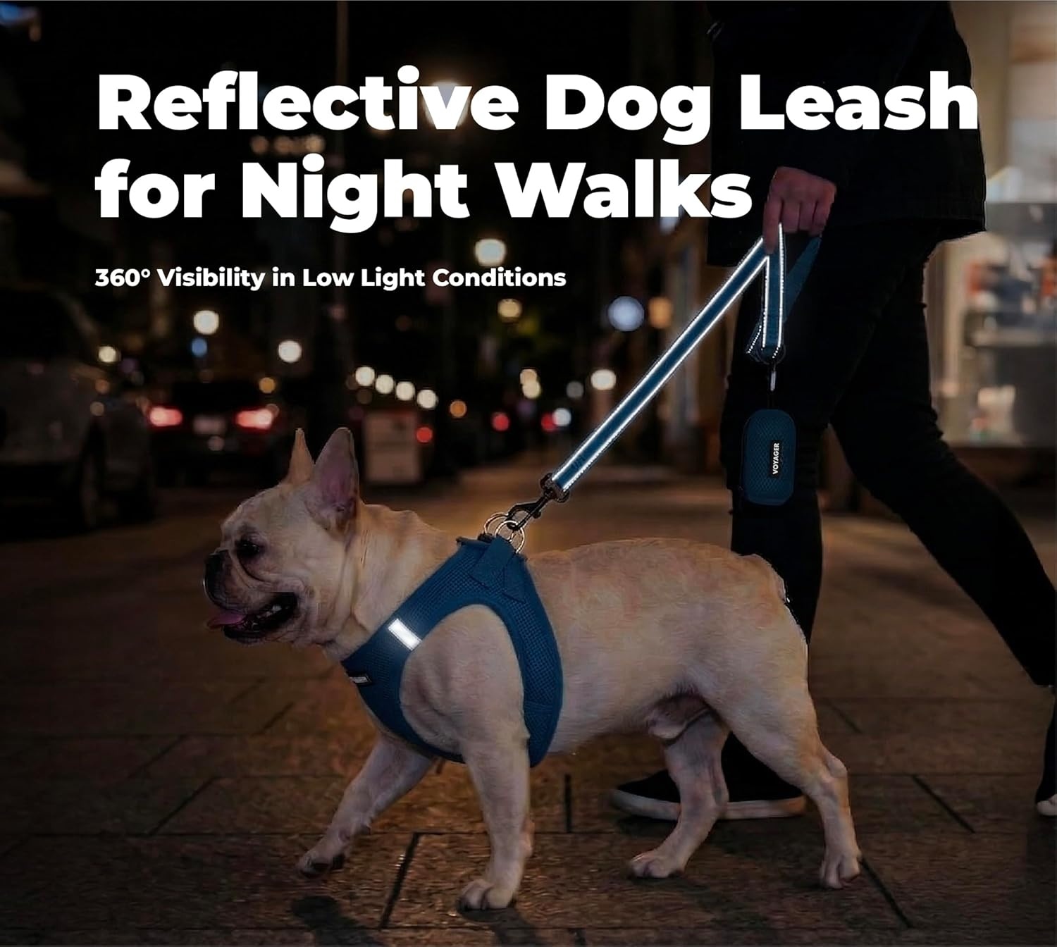 image:imageBest Pet Supplies Voyager Reflective Dog Leash or Collar with Neoprene Handle for Small Medium and Large Breed Puppies Cute and Heavy Duty for Walking Running and Training Blue Leash SLeash Royal Blue