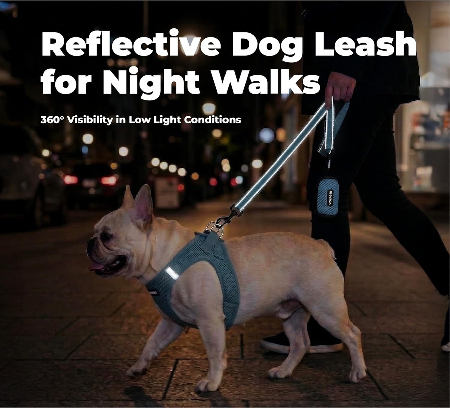 image:imageBest Pet Supplies Voyager Reflective Dog Leash or Collar with Neoprene Handle for Small Medium and Large Breed Puppies Cute and Heavy Duty for Walking Running and Training Blue Leash SLeash Baby Blue