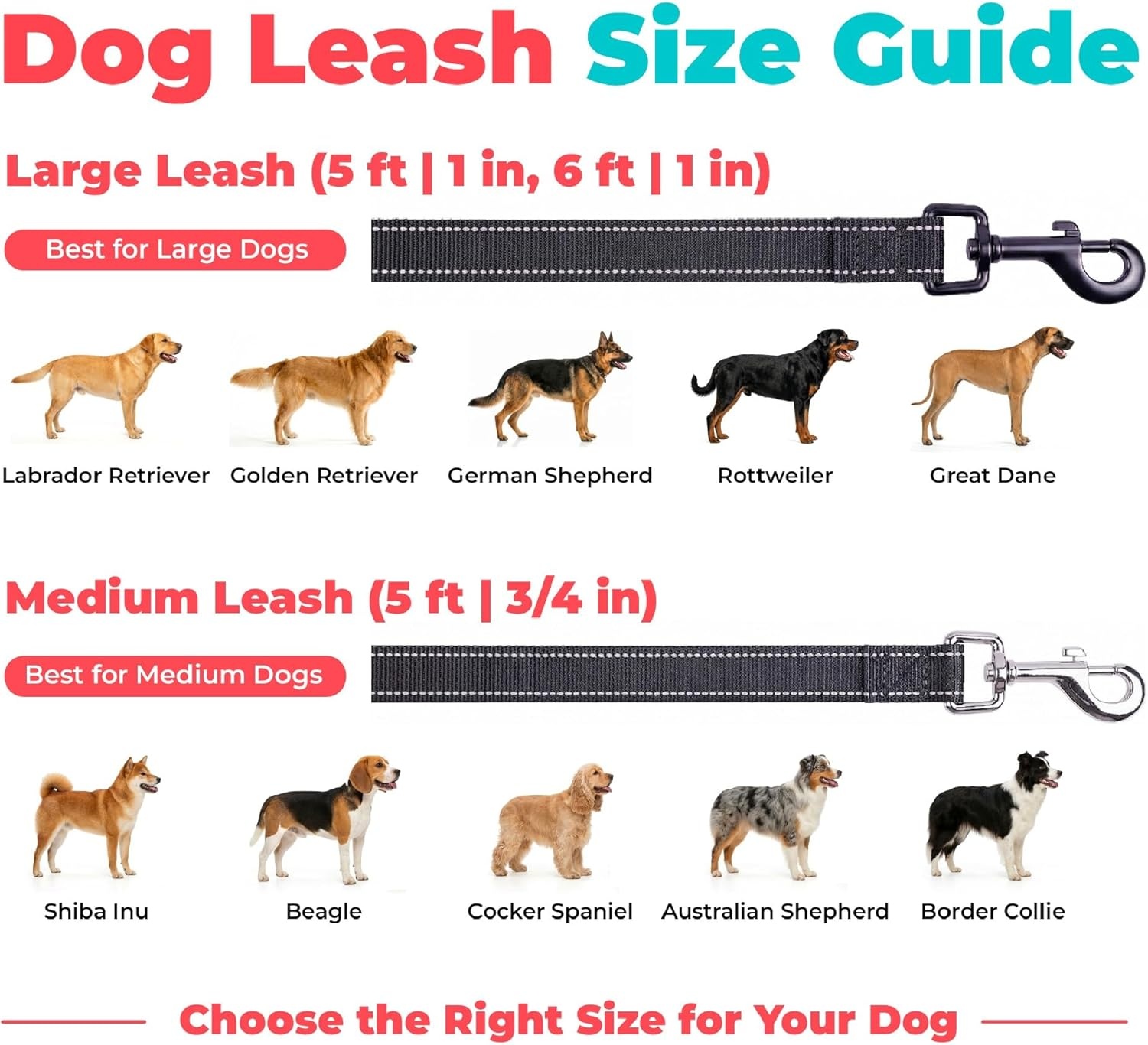 image:imageBest Pet Supplies Voyager Reflective Dog Leash or Collar with Neoprene Handle for Small Medium and Large Breed Puppies Cute and Heavy Duty for Walking Running and Training Blue Leash SLeash Black
