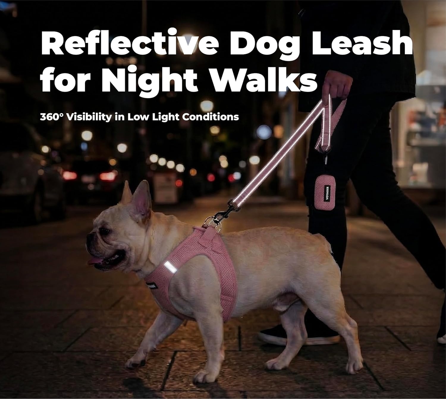 image:imageBest Pet Supplies Voyager Reflective Dog Leash or Collar with Neoprene Handle for Small Medium and Large Breed Puppies Cute and Heavy Duty for Walking Running and Training Blue Leash SLeash Soft Pink