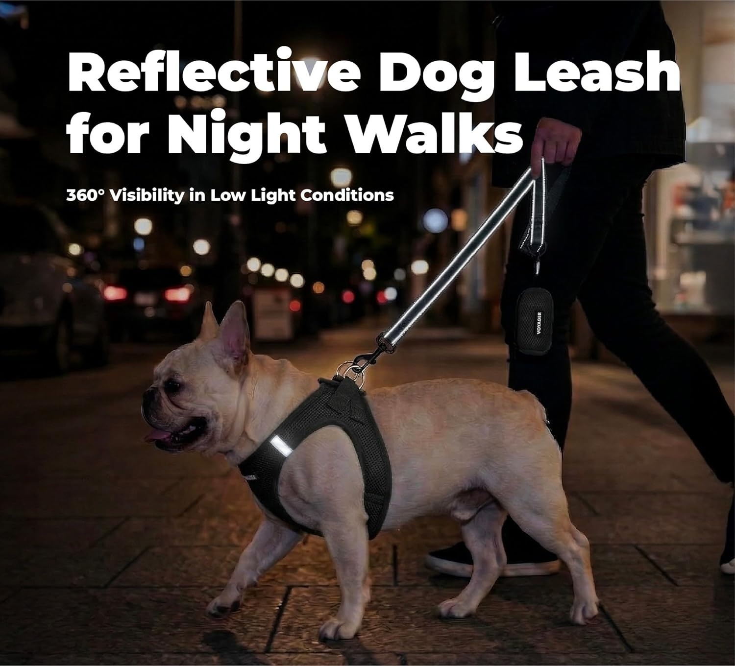 image:imageBest Pet Supplies Voyager Reflective Dog Leash or Collar with Neoprene Handle for Small Medium and Large Breed Puppies Cute and Heavy Duty for Walking Running and Training Blue Leash SLeash Black