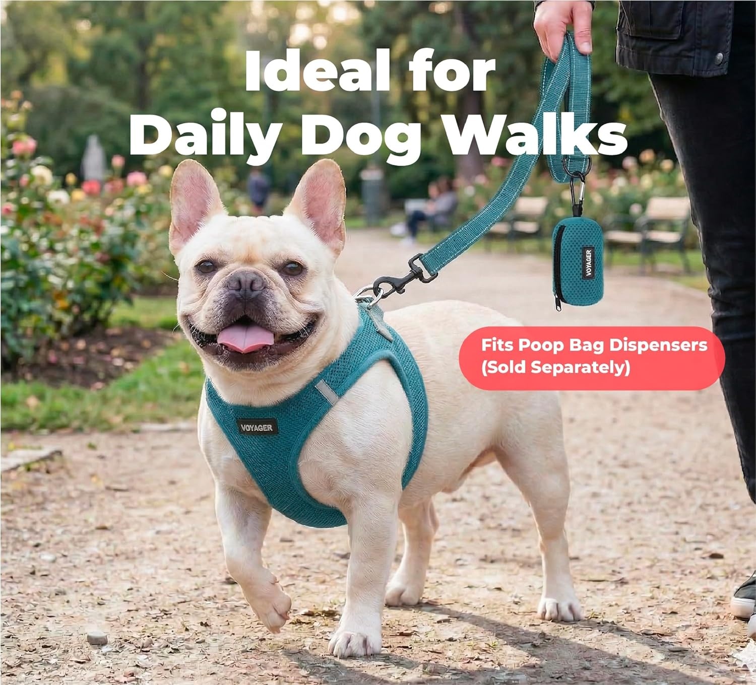 image:imageBest Pet Supplies Voyager Reflective Dog Leash or Collar with Neoprene Handle for Small Medium and Large Breed Puppies Cute and Heavy Duty for Walking Running and Training Blue Leash SLeash Turquoise