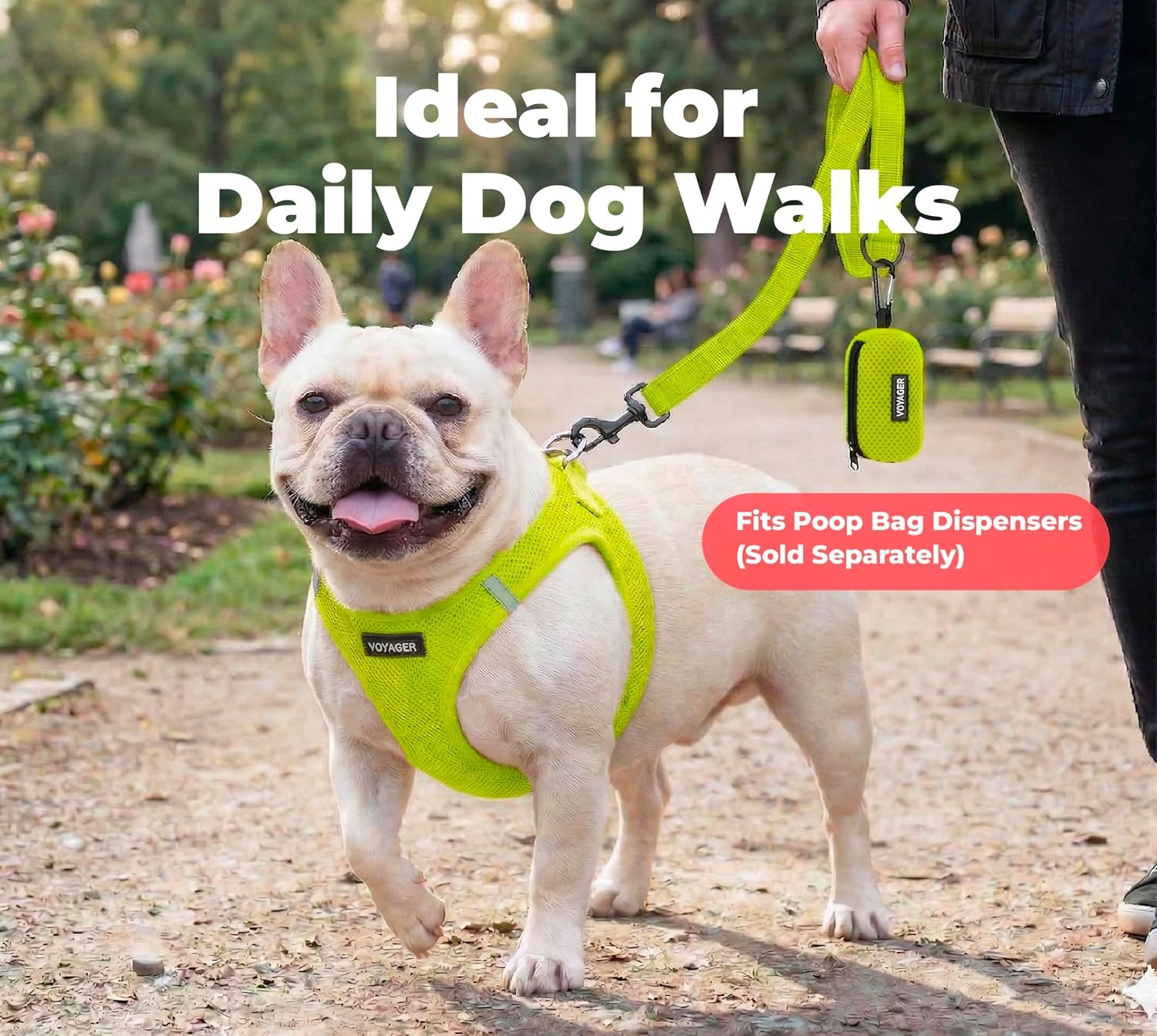 image:imageBest Pet Supplies Voyager Reflective Dog Leash or Collar with Neoprene Handle for Small Medium and Large Breed Puppies Cute and Heavy Duty for Walking Running and Training Blue Leash SLeash Lime Green