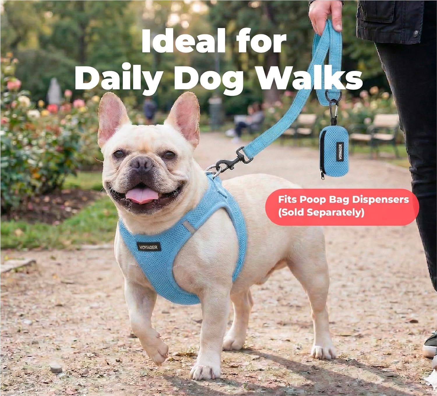 image:imageBest Pet Supplies Voyager Reflective Dog Leash or Collar with Neoprene Handle for Small Medium and Large Breed Puppies Cute and Heavy Duty for Walking Running and Training Blue Leash SLeash Baby Blue