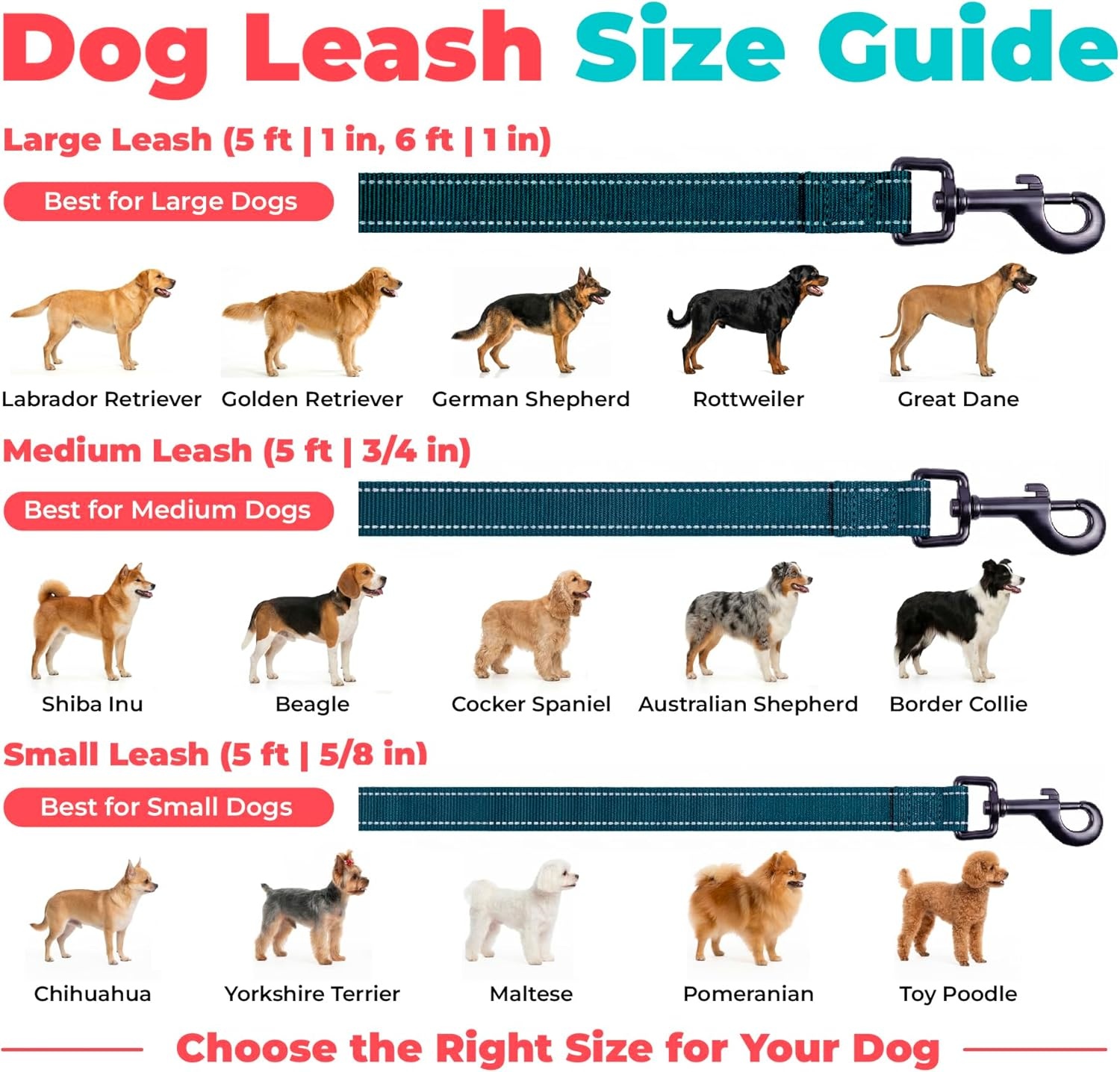 image:imageBest Pet Supplies Voyager Reflective Dog Leash or Collar with Neoprene Handle for Small Medium and Large Breed Puppies Cute and Heavy Duty for Walking Running and Training Blue Leash SLeash Blue