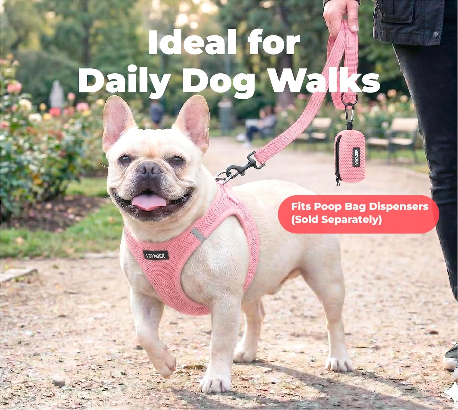 image:imageBest Pet Supplies Voyager Reflective Dog Leash or Collar with Neoprene Handle for Small Medium and Large Breed Puppies Cute and Heavy Duty for Walking Running and Training Blue Leash SLeash Soft Pink