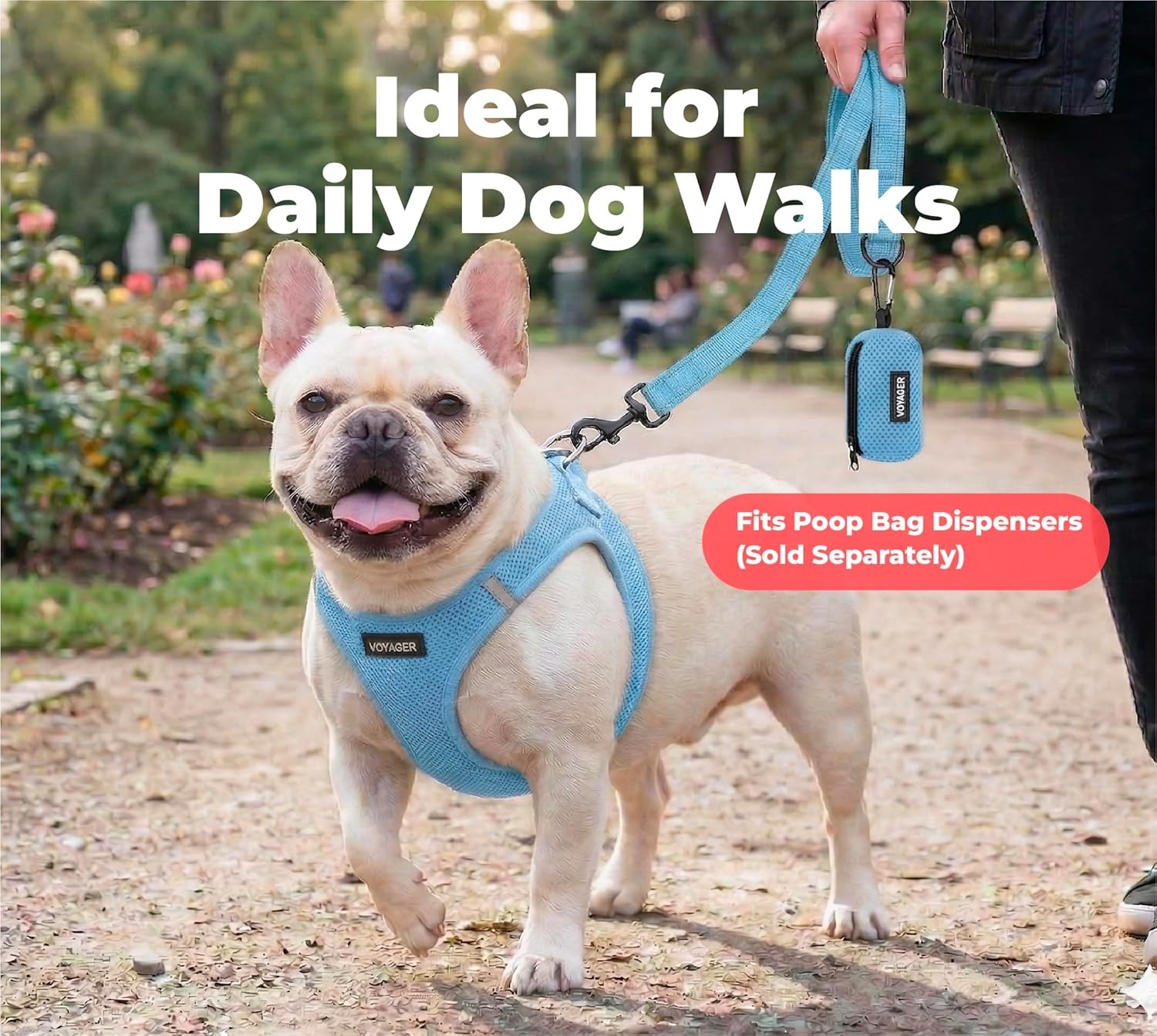 image:imageBest Pet Supplies Voyager Reflective Dog Leash or Collar with Neoprene Handle for Small Medium and Large Breed Puppies Cute and Heavy Duty for Walking Running and Training Blue Leash SLeash Baby Blue