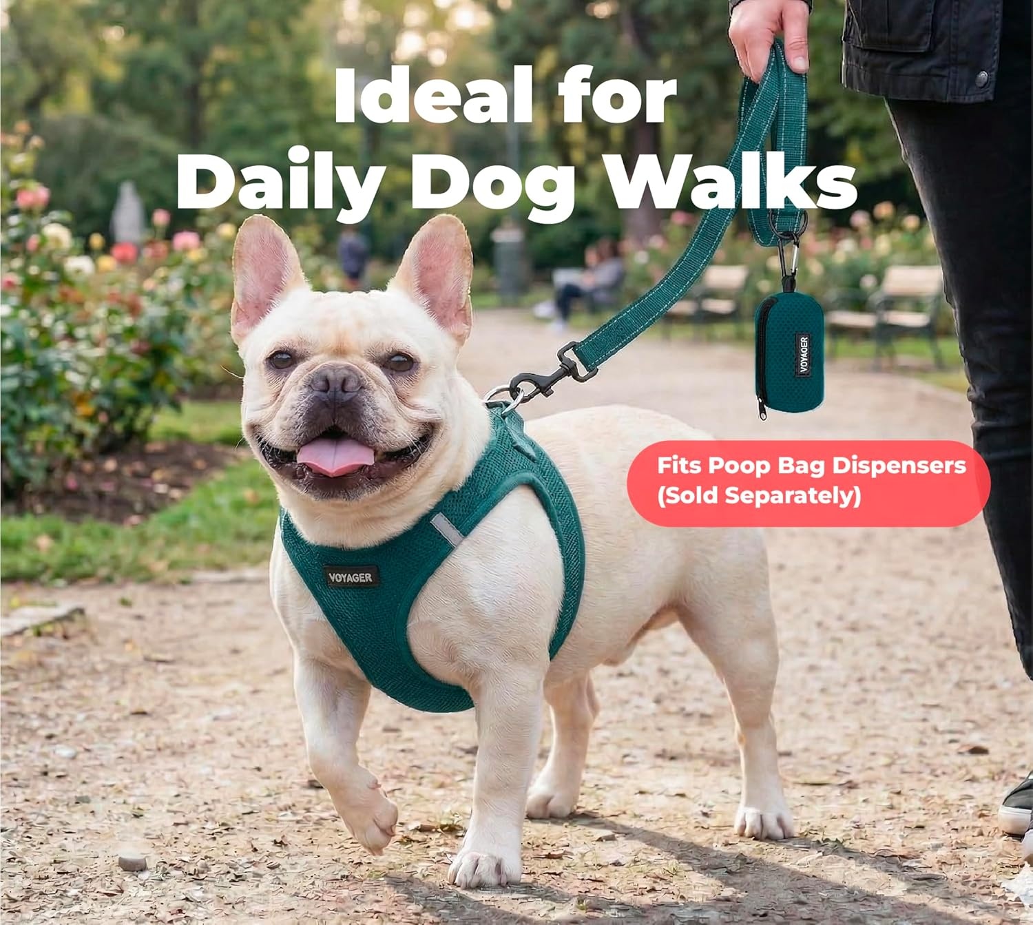 image:imageBest Pet Supplies Voyager Reflective Dog Leash or Collar with Neoprene Handle for Small Medium and Large Breed Puppies Cute and Heavy Duty for Walking Running and Training Blue Leash SLeash Blue