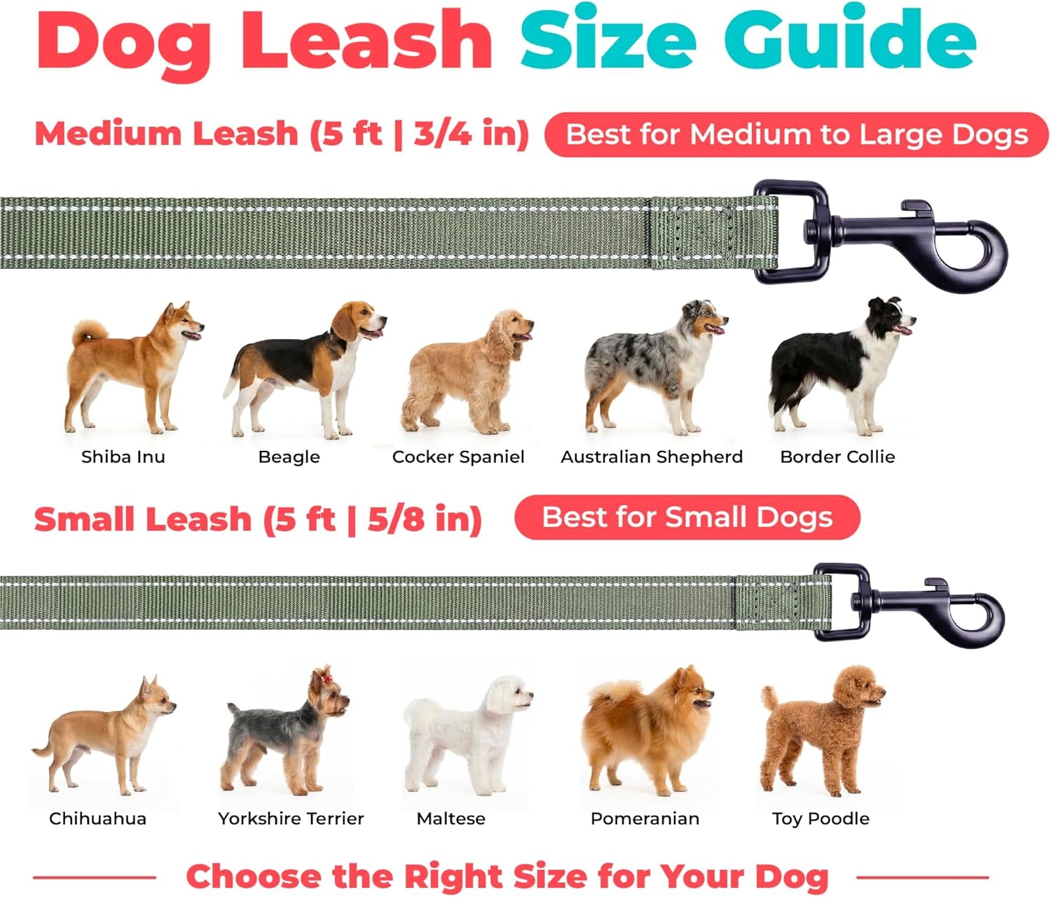 image:imageBest Pet Supplies Voyager Reflective Dog Leash or Collar with Neoprene Handle for Small Medium and Large Breed Puppies Cute and Heavy Duty for Walking Running and Training Blue Leash SLeash Moss Green