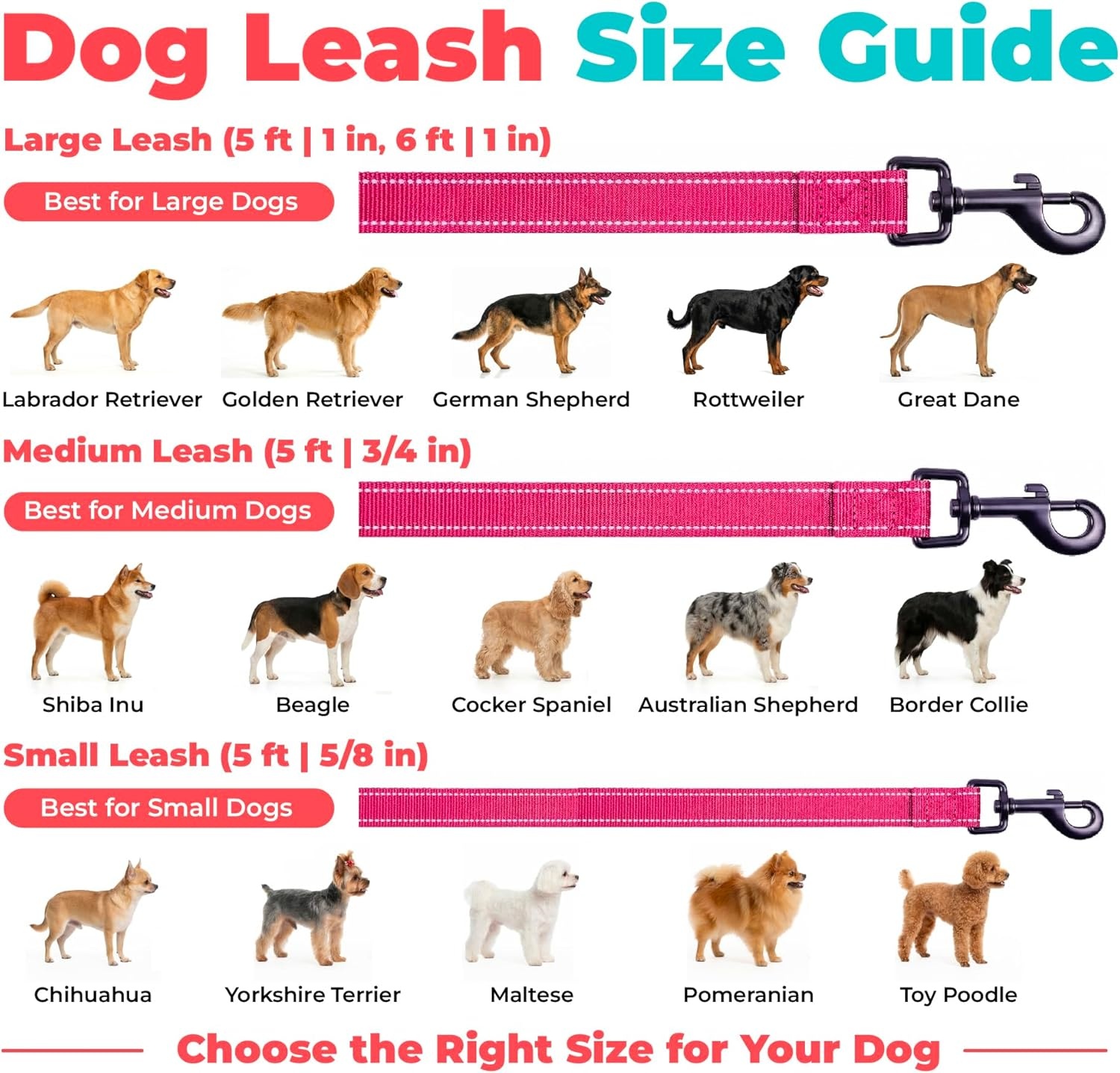 image:imageBest Pet Supplies Voyager Reflective Dog Leash or Collar with Neoprene Handle for Small Medium and Large Breed Puppies Cute and Heavy Duty for Walking Running and Training Blue Leash SLeash Fuchsia