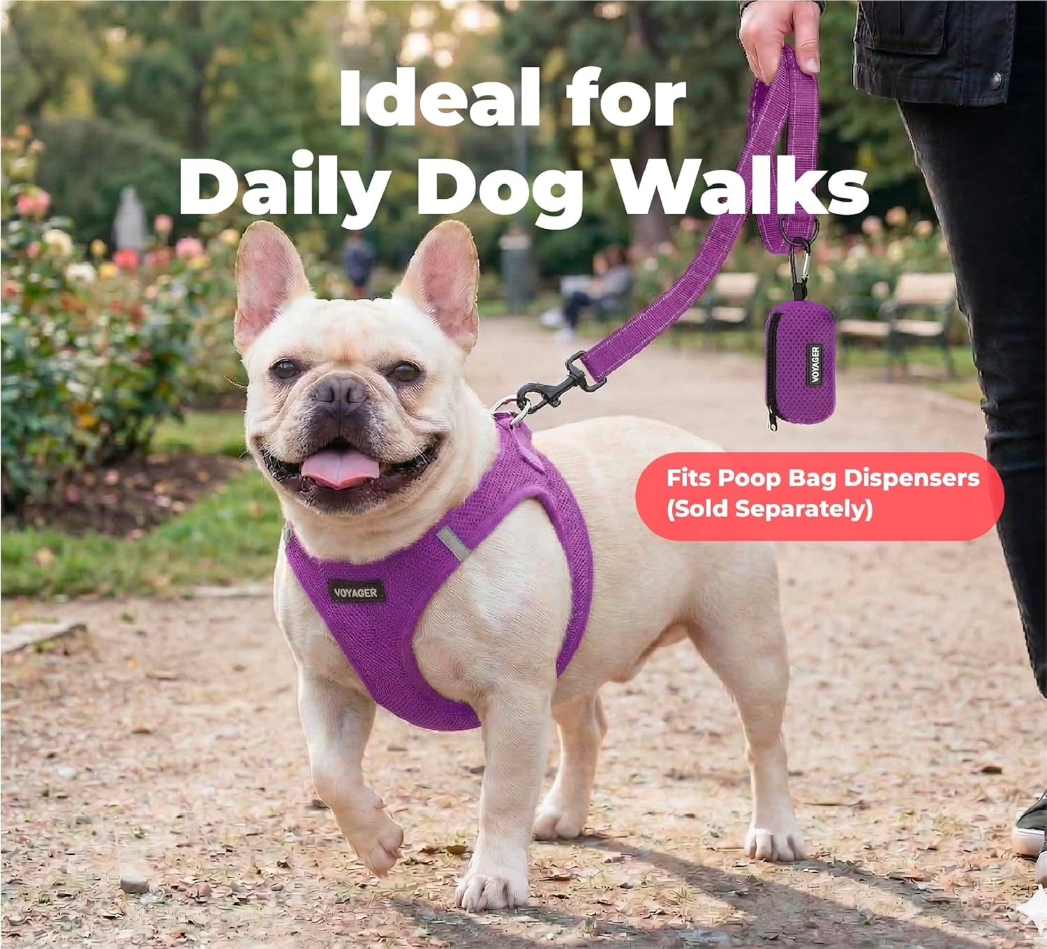 image:imageBest Pet Supplies Voyager Reflective Dog Leash or Collar with Neoprene Handle for Small Medium and Large Breed Puppies Cute and Heavy Duty for Walking Running and Training Blue Leash SLeash Purple