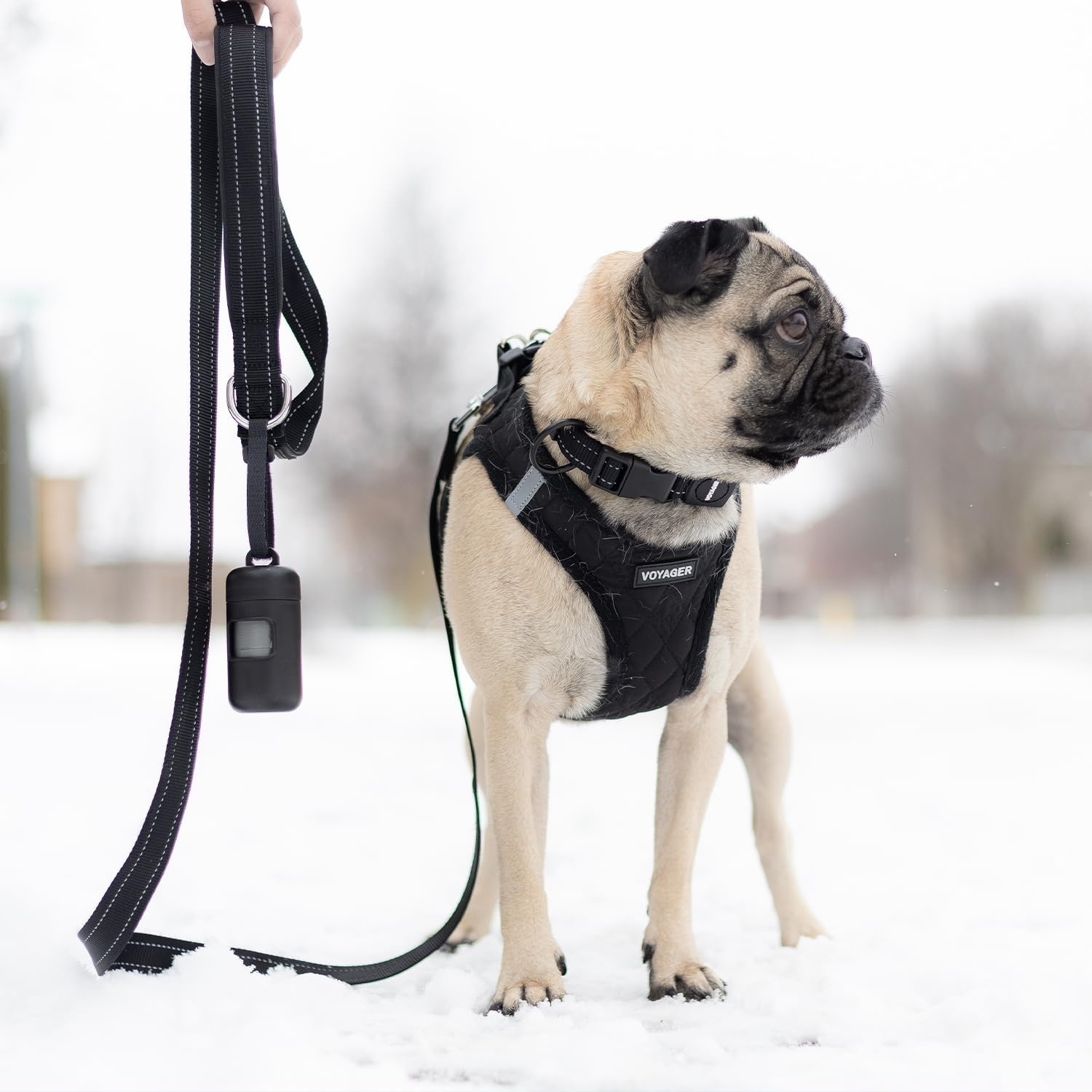 image:imageBest Pet Supplies Voyager Reflective Dog Leash or Collar with Neoprene Handle for Small Medium and Large Breed Puppies Cute and Heavy Duty for Walking Running and Training Blue Leash SLeash Black