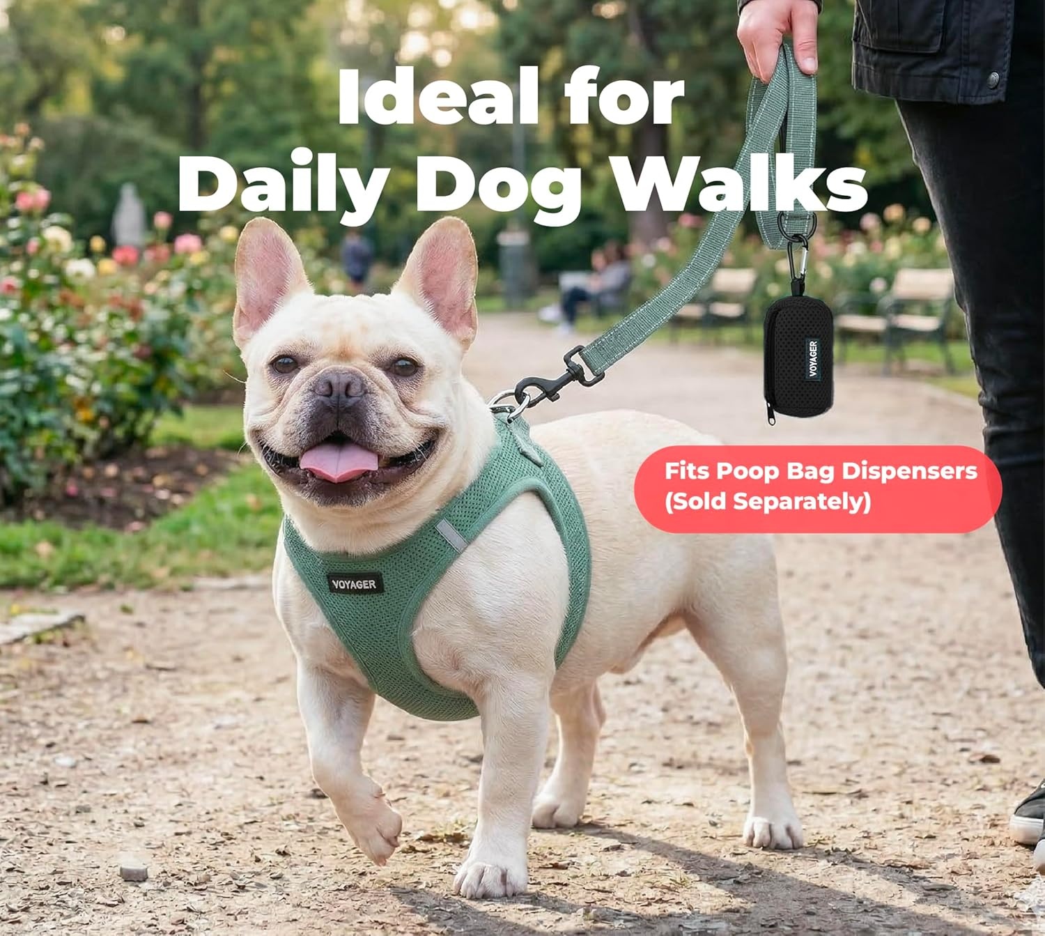 image:imageBest Pet Supplies Voyager Reflective Dog Leash or Collar with Neoprene Handle for Small Medium and Large Breed Puppies Cute and Heavy Duty for Walking Running and Training Blue Leash SLeash Moss Green