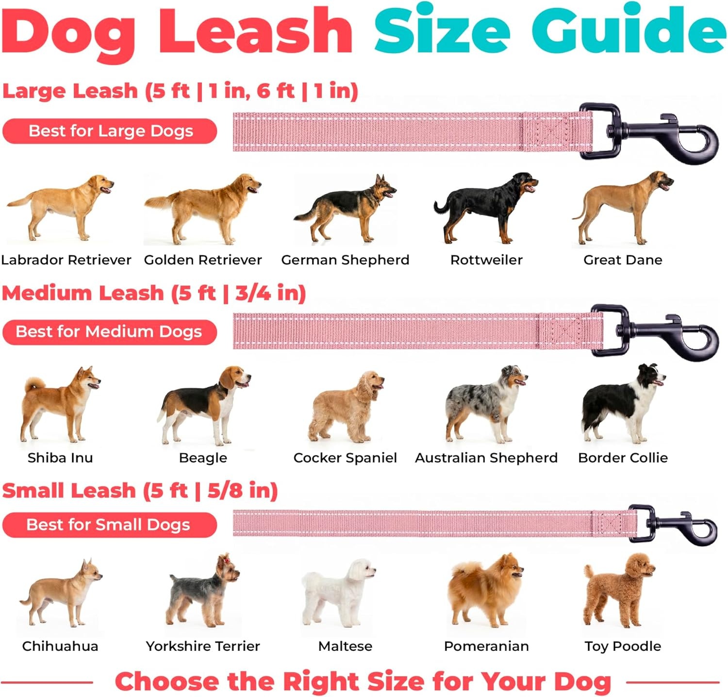 image:imageBest Pet Supplies Voyager Reflective Dog Leash or Collar with Neoprene Handle for Small Medium and Large Breed Puppies Cute and Heavy Duty for Walking Running and Training Blue Leash SLeash Soft Pink