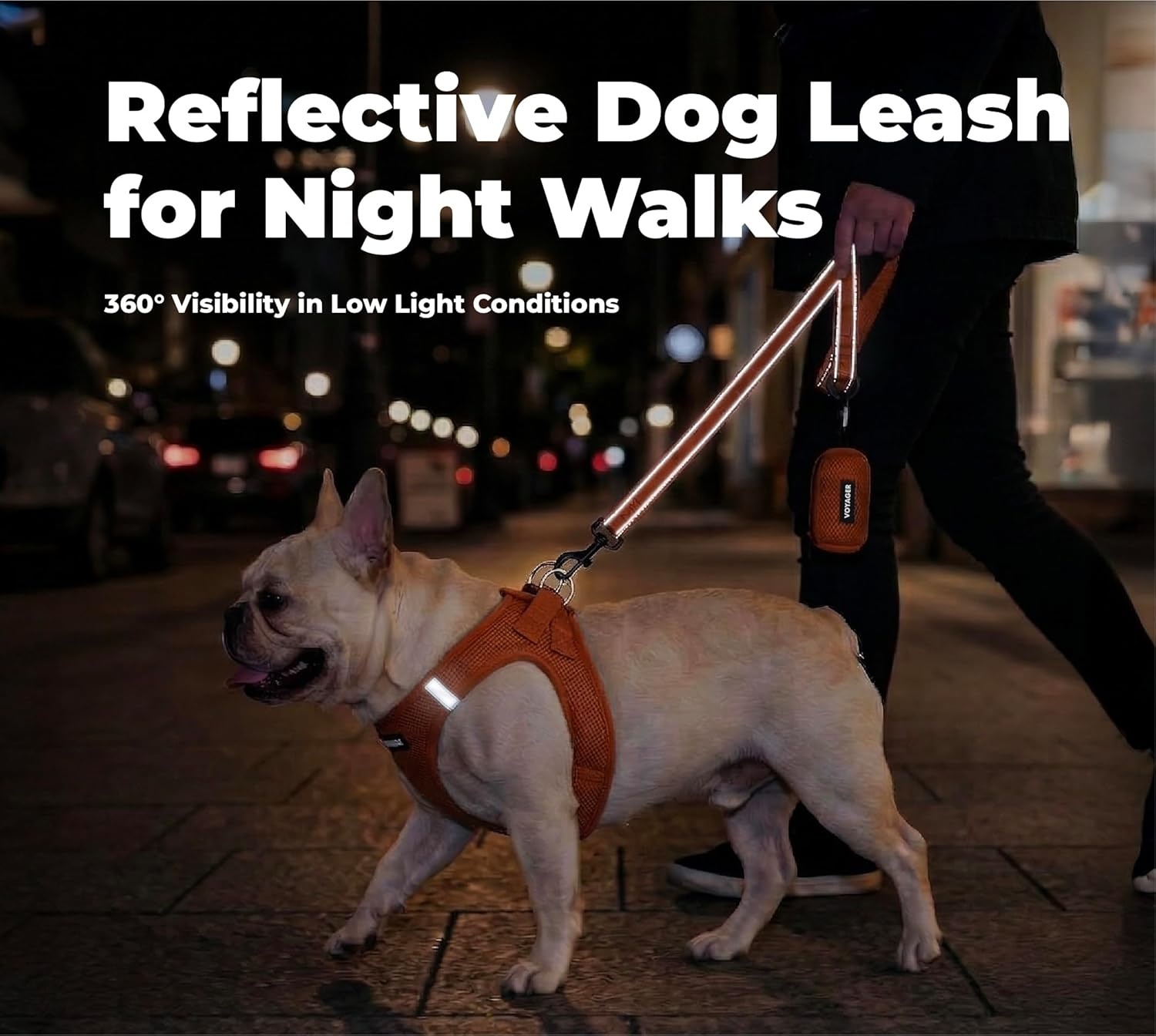image:imageBest Pet Supplies Voyager Reflective Dog Leash or Collar with Neoprene Handle for Small Medium and Large Breed Puppies Cute and Heavy Duty for Walking Running and Training Blue Leash SLeash Orange