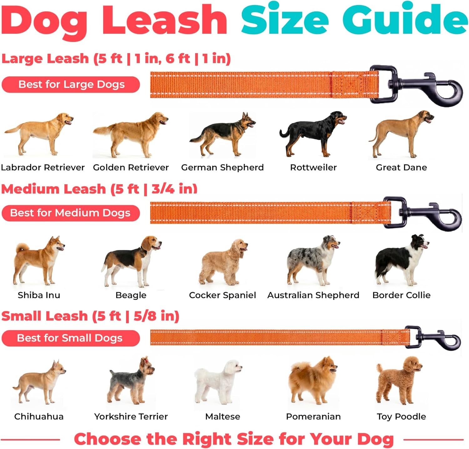 image:imageBest Pet Supplies Voyager Reflective Dog Leash or Collar with Neoprene Handle for Small Medium and Large Breed Puppies Cute and Heavy Duty for Walking Running and Training Blue Leash SLeash Orange