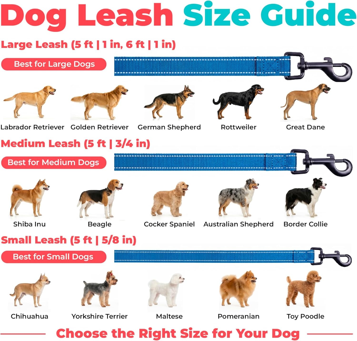 image:imageBest Pet Supplies Voyager Reflective Dog Leash or Collar with Neoprene Handle for Small Medium and Large Breed Puppies Cute and Heavy Duty for Walking Running and Training Blue Leash SLeash Royal Blue