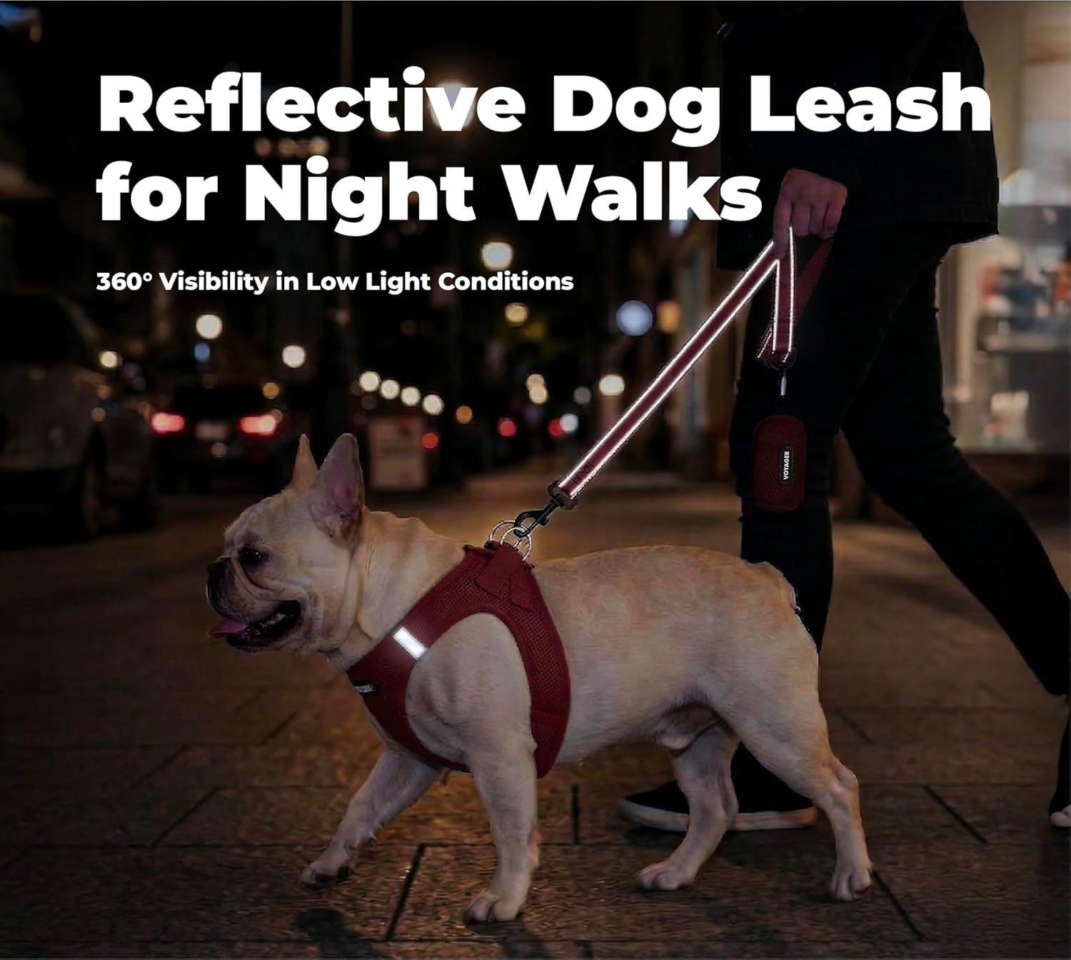 image:imageBest Pet Supplies Voyager Reflective Dog Leash or Collar with Neoprene Handle for Small Medium and Large Breed Puppies Cute and Heavy Duty for Walking Running and Training Blue Leash SLeash Red